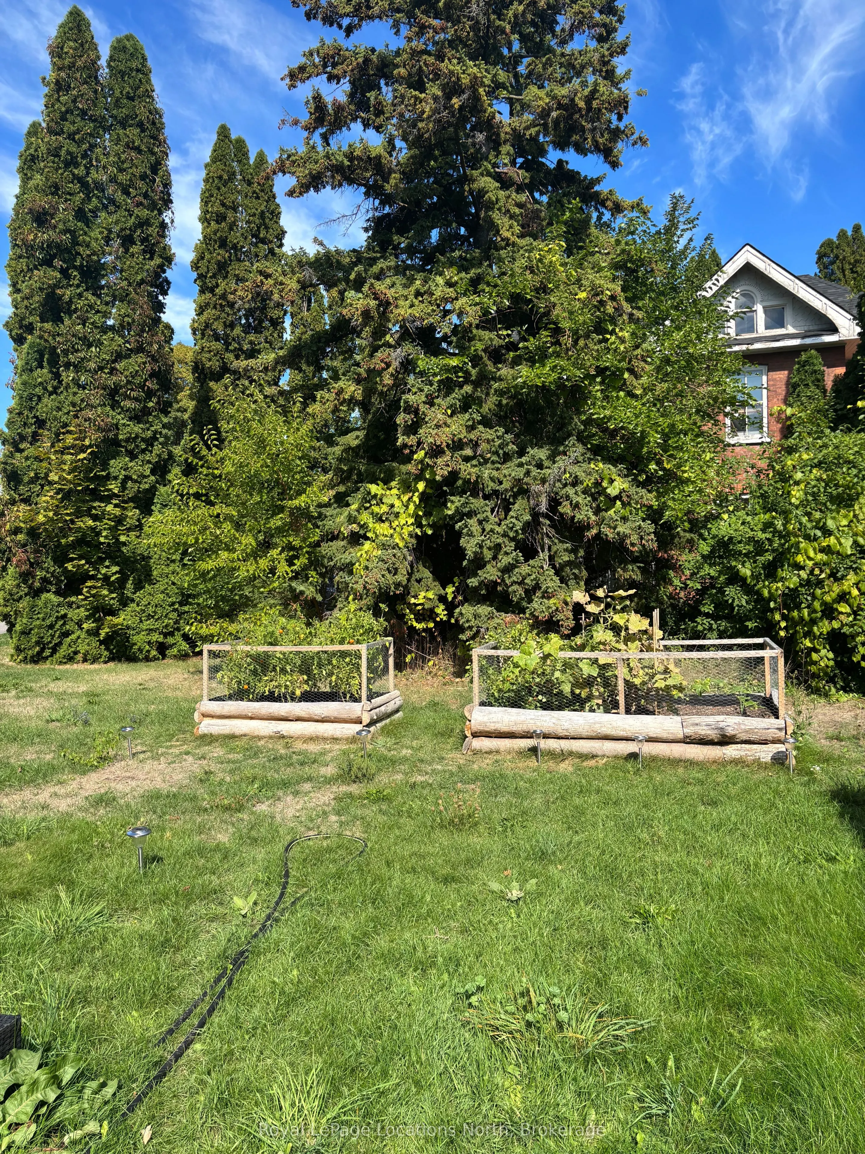 317 Hume Street