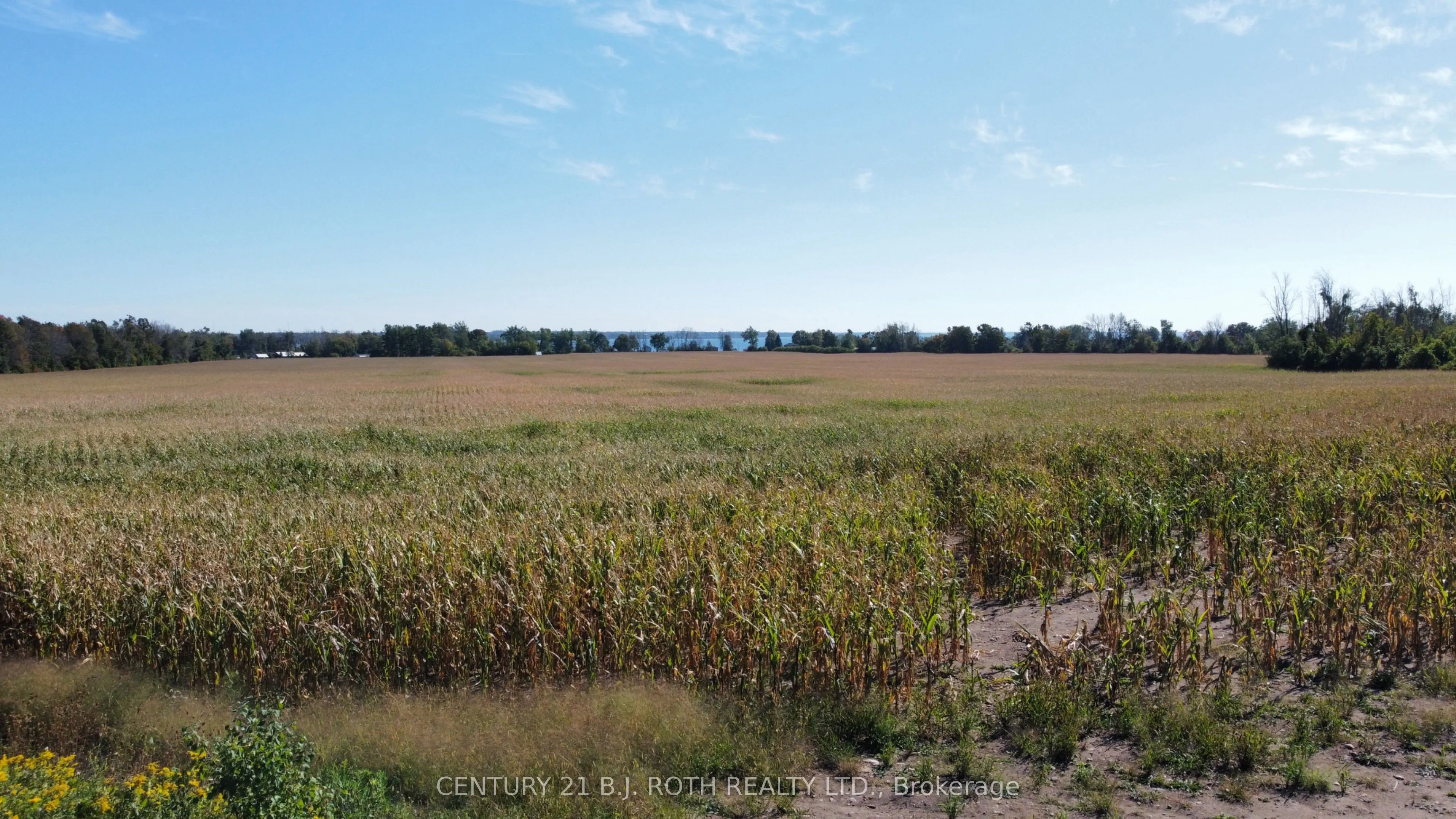 1273 Ramara Rd 47 Road