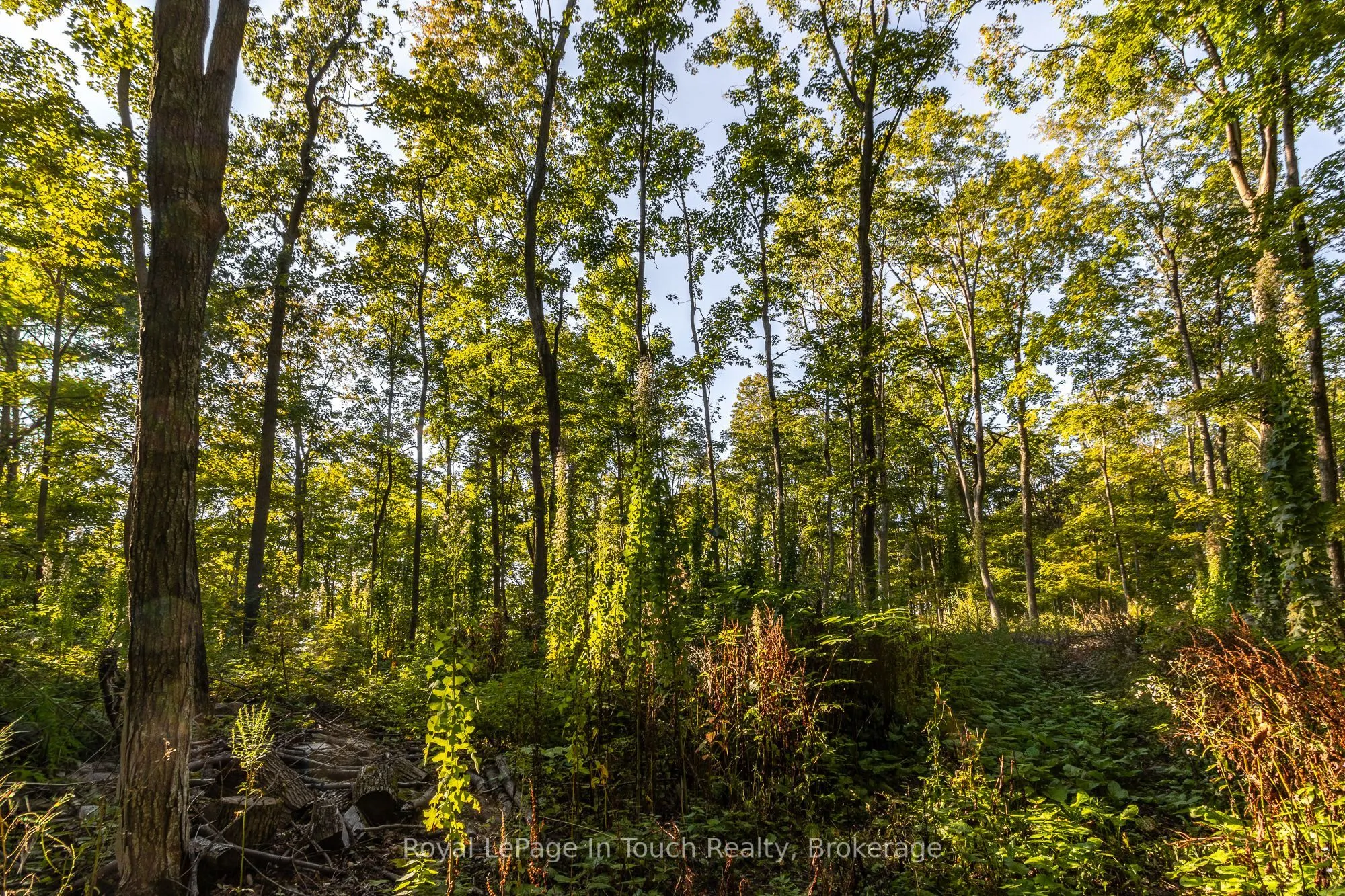 Lt 16&17 Nippissing Ridge Road