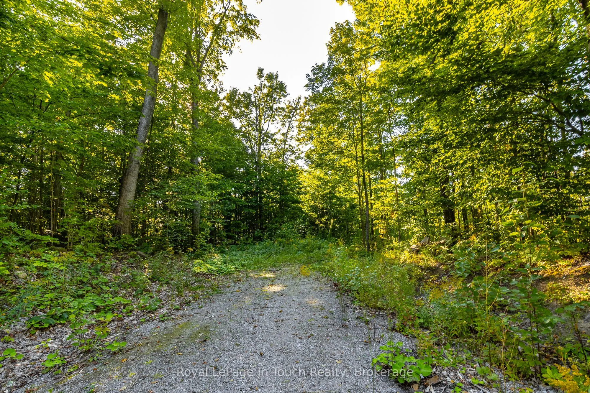 Lt 16&17 Nippissing Ridge Road