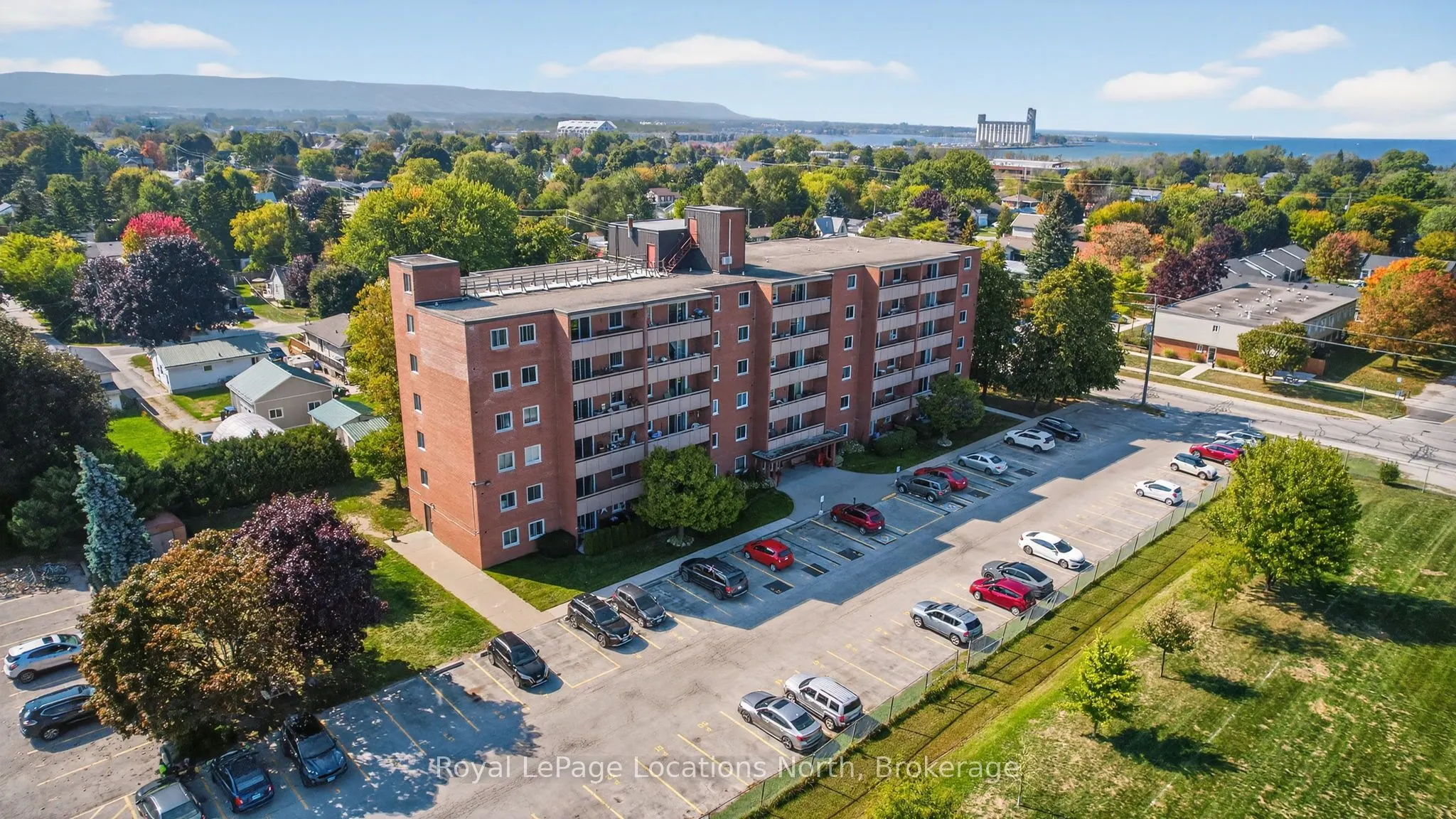 460 Ontario Street, #209
