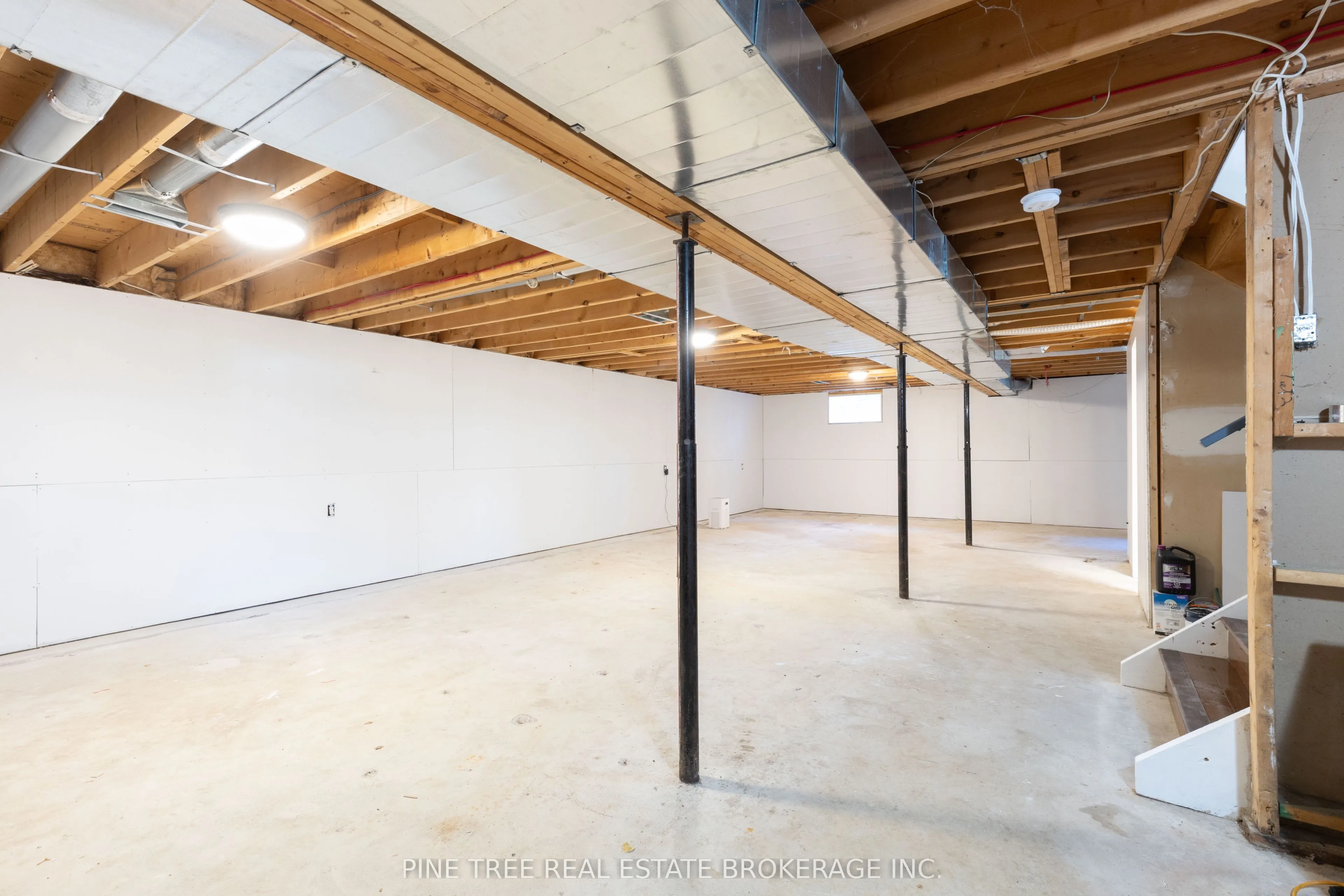 228 Cavana Street