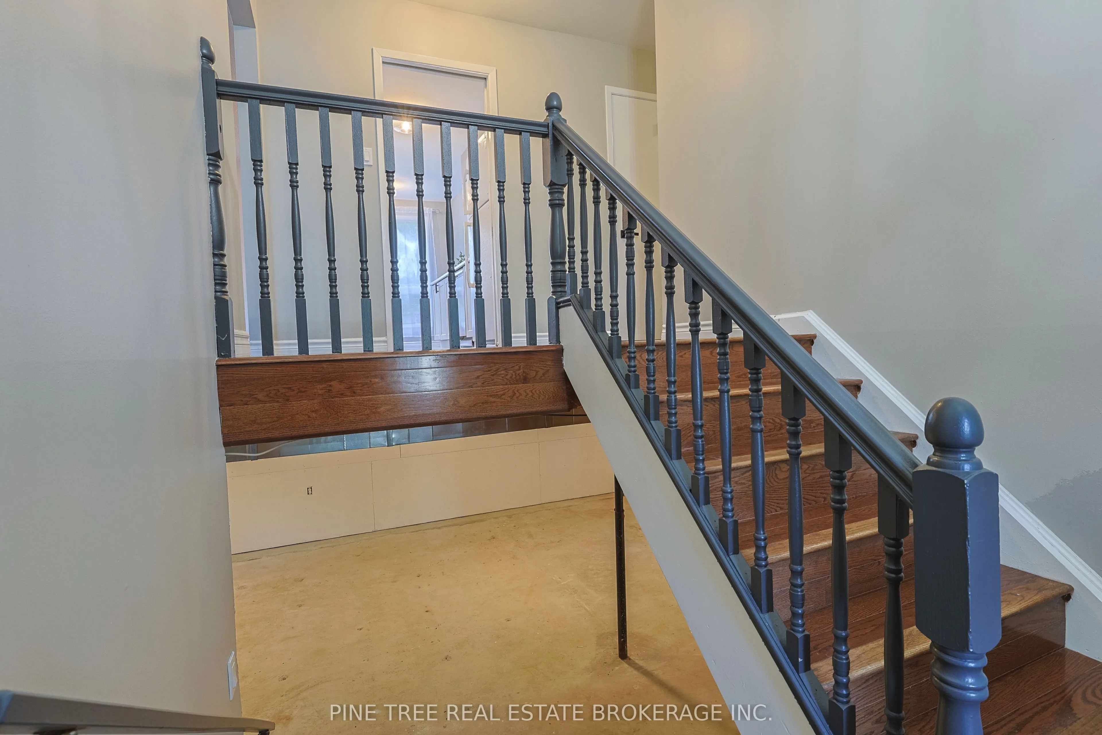 228 Cavana Street