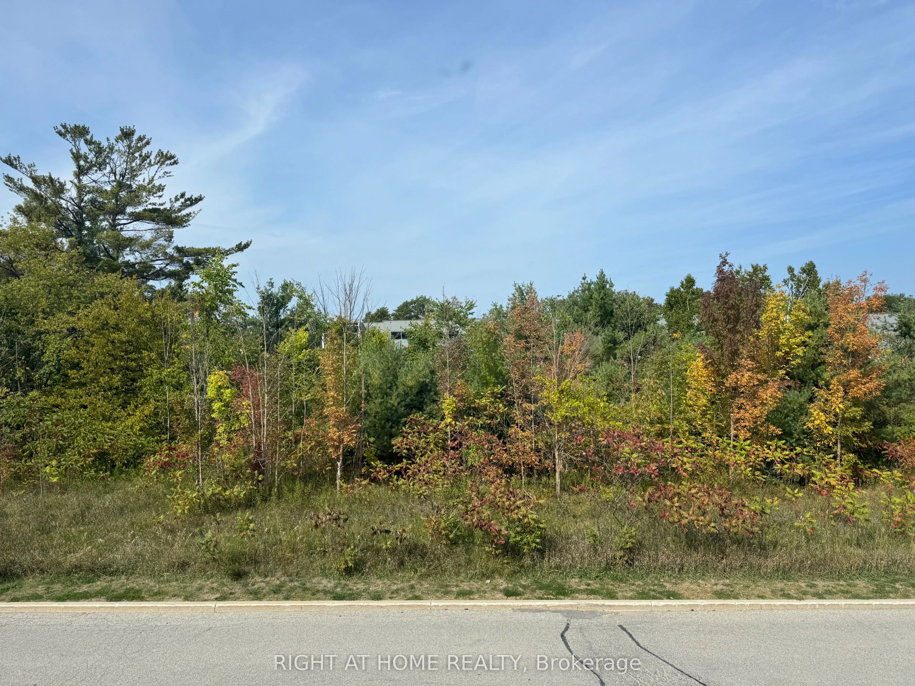 647 Welham Road, #8