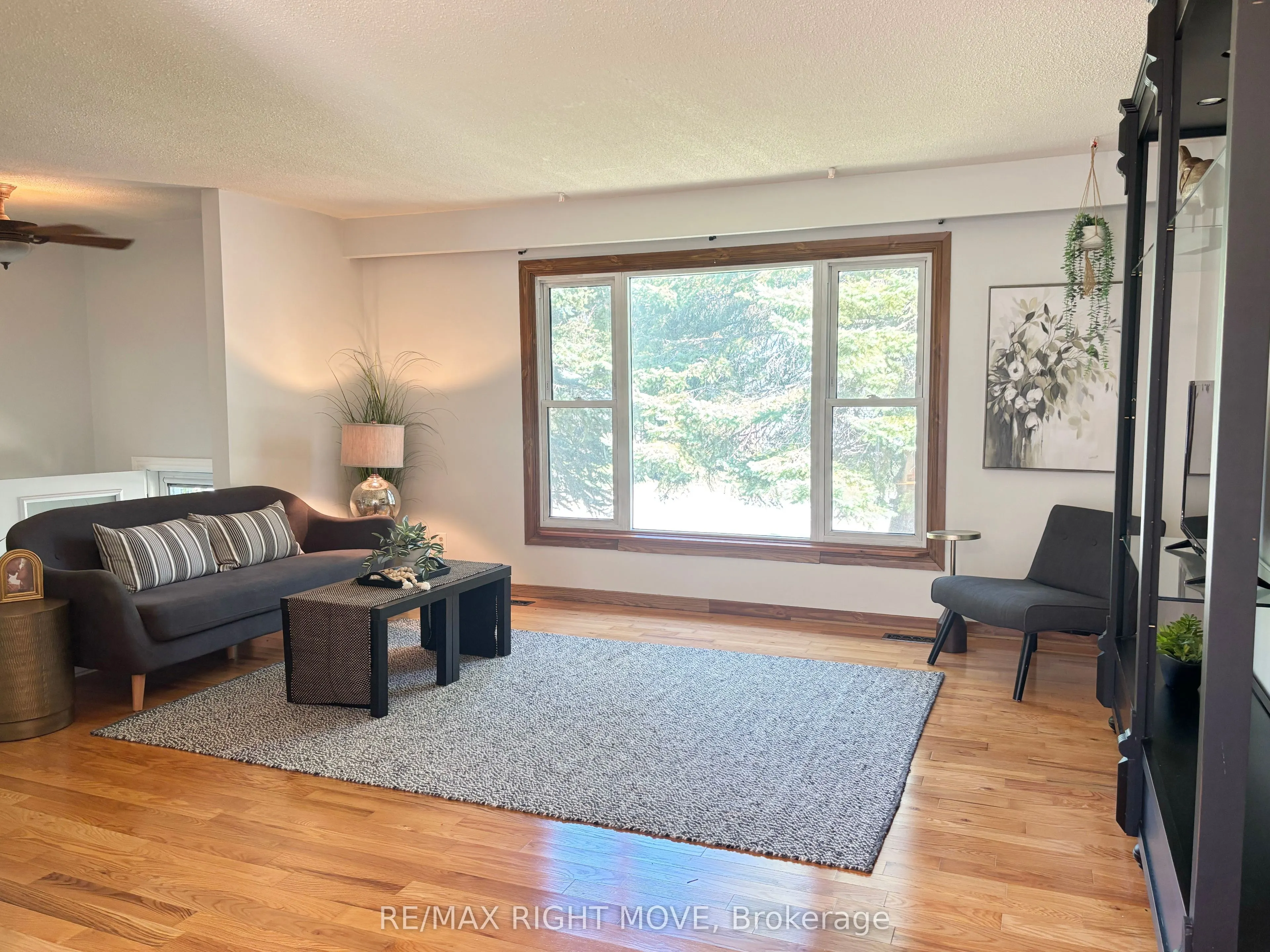 427 Jamieson Drive