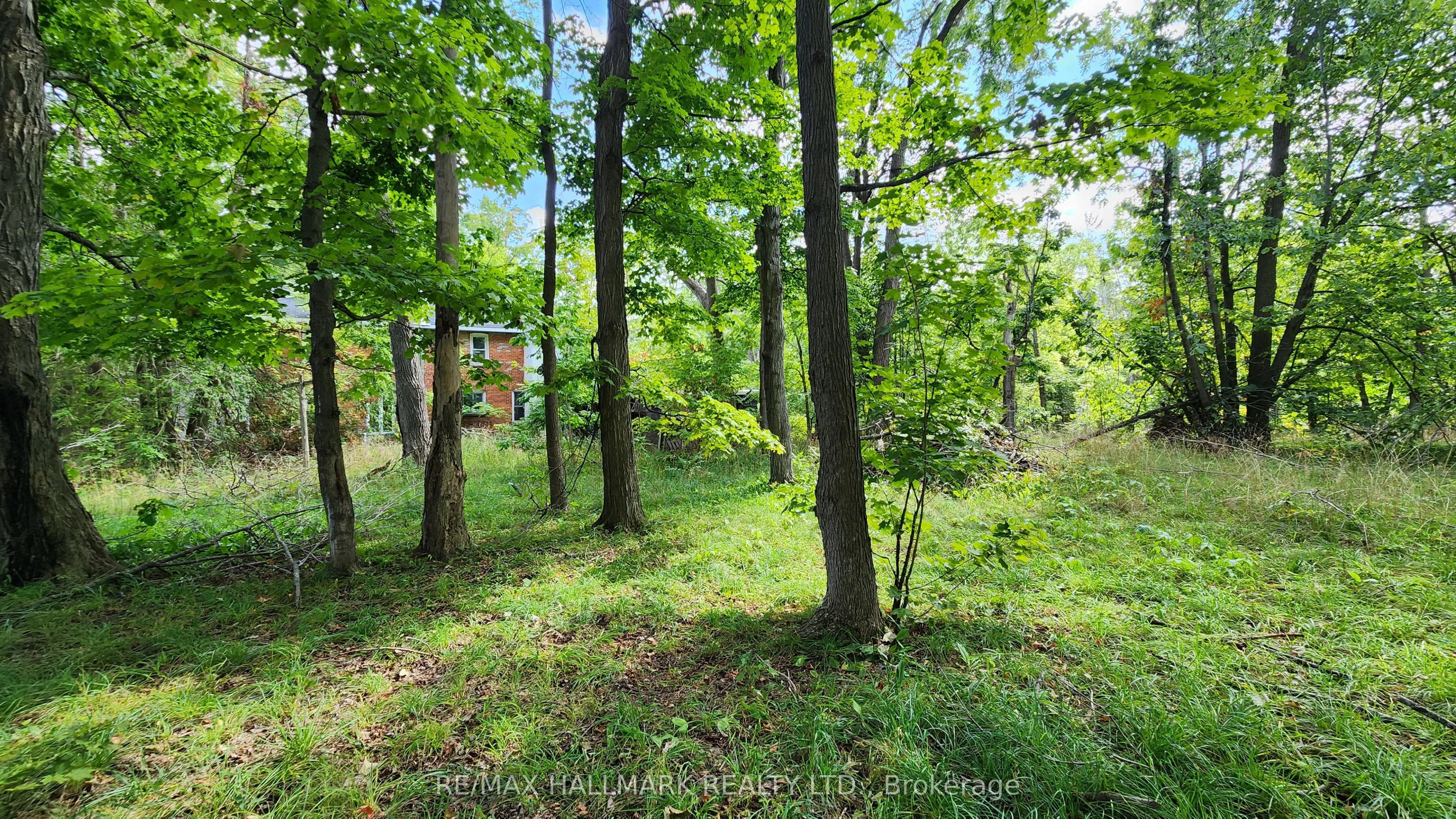 26 Lakeshore Road W