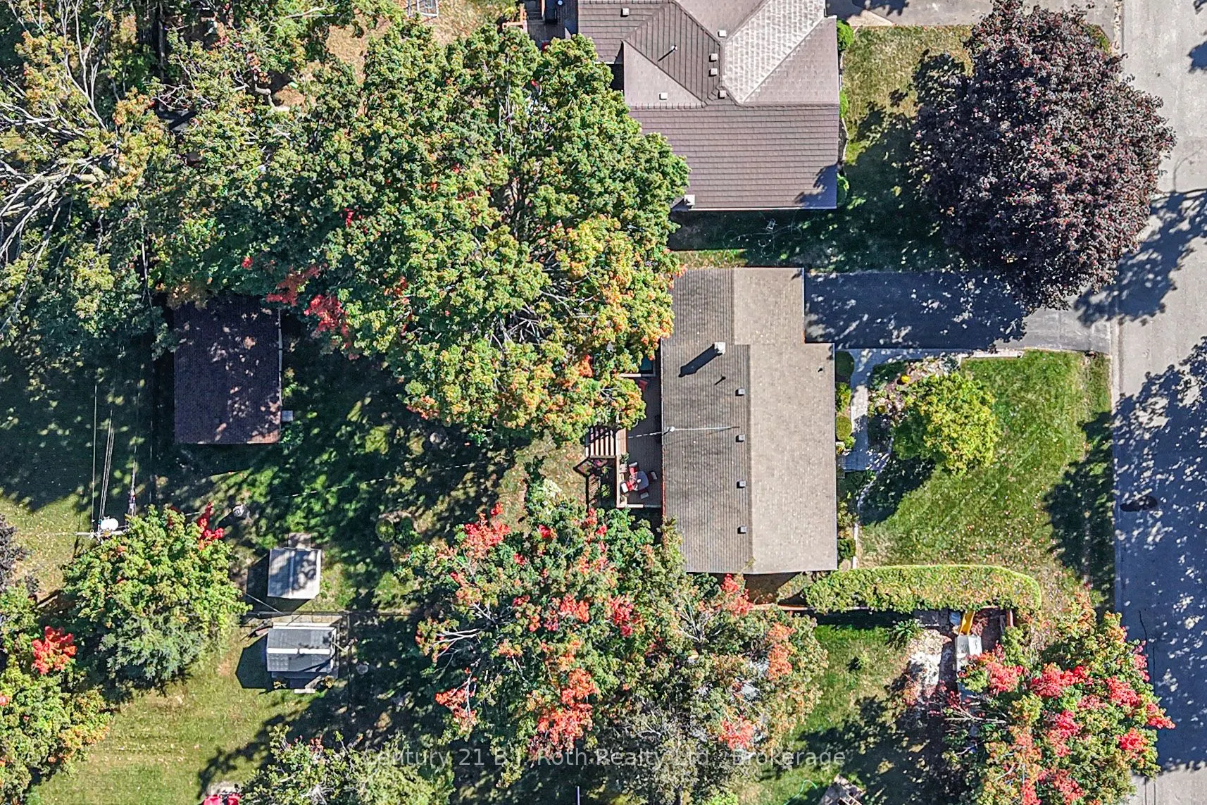 262 Lawrence Avenue