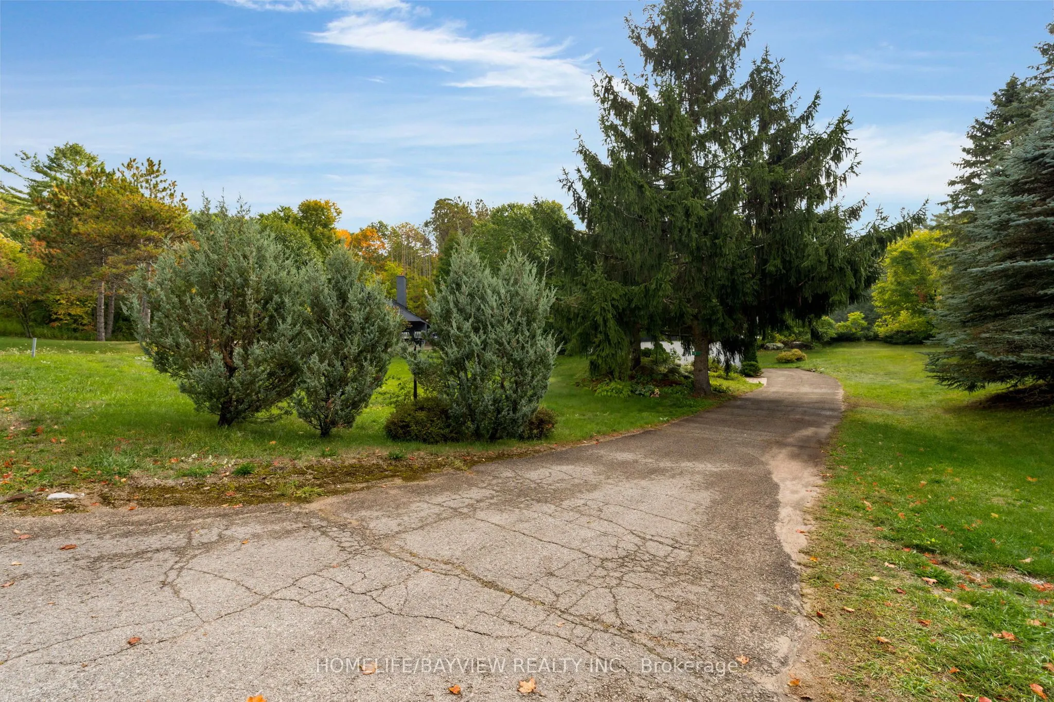 15 BIRCH GROVE Drive