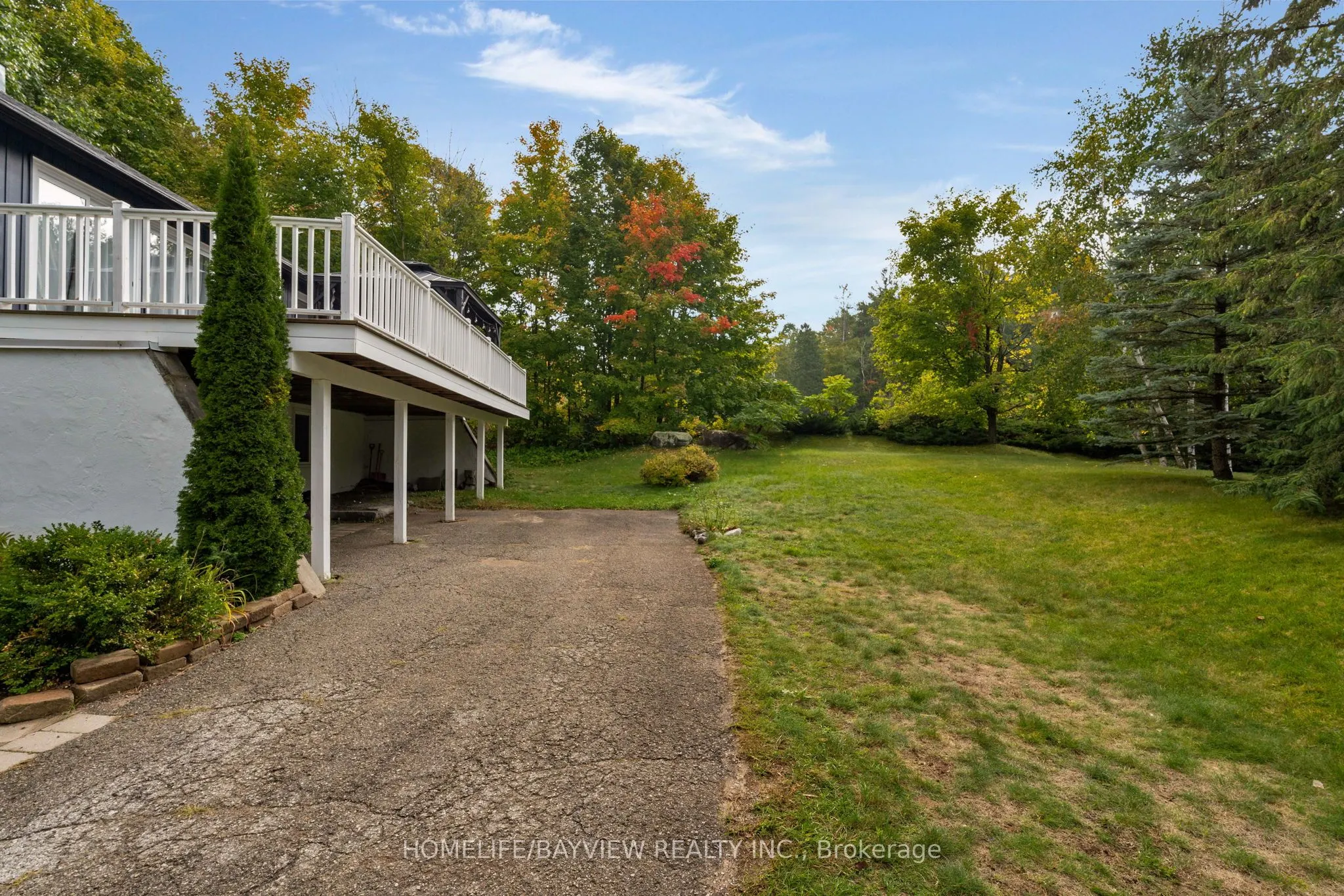 15 BIRCH GROVE Drive