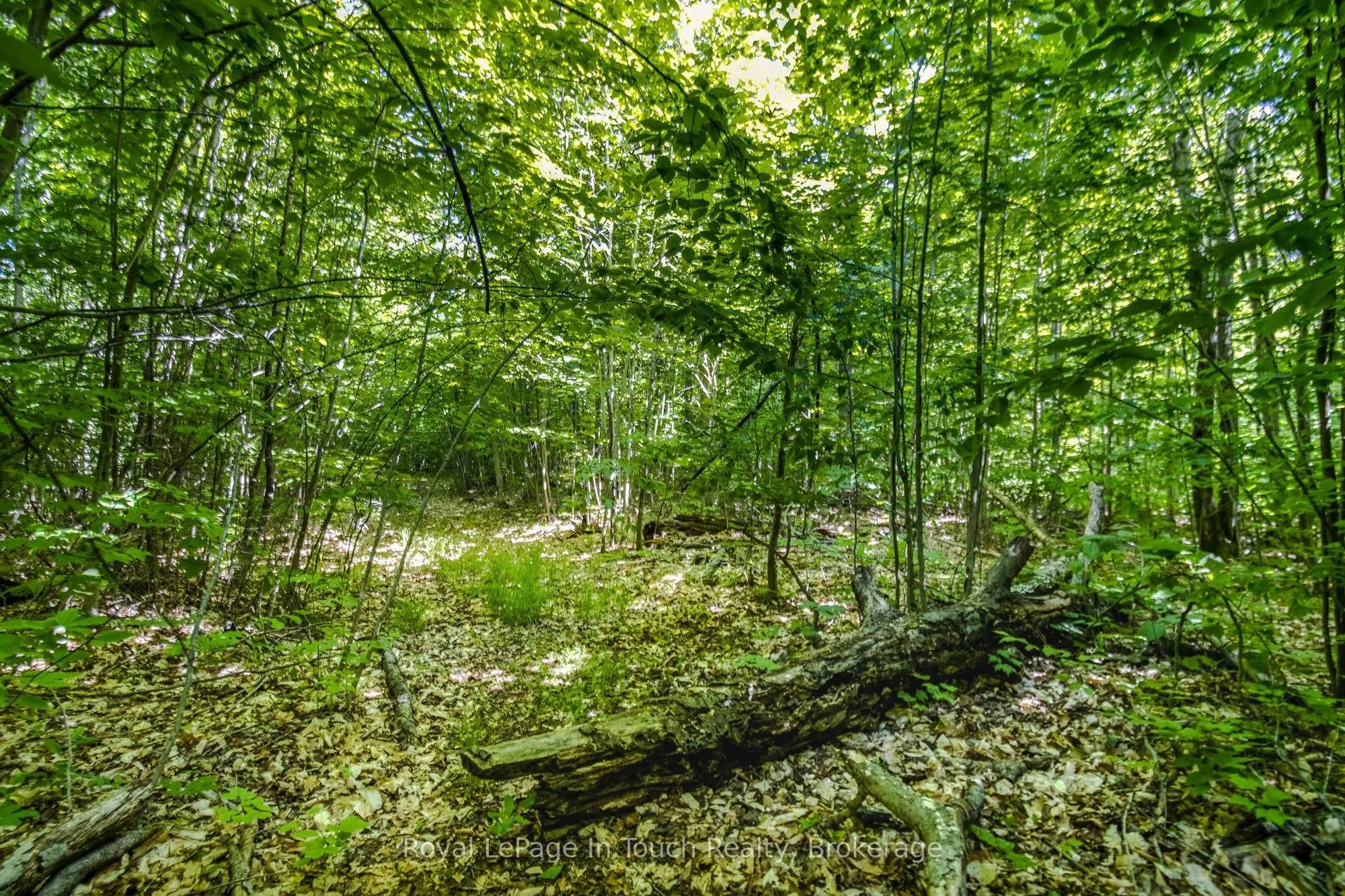 Lot 23 Concession 17 Road W