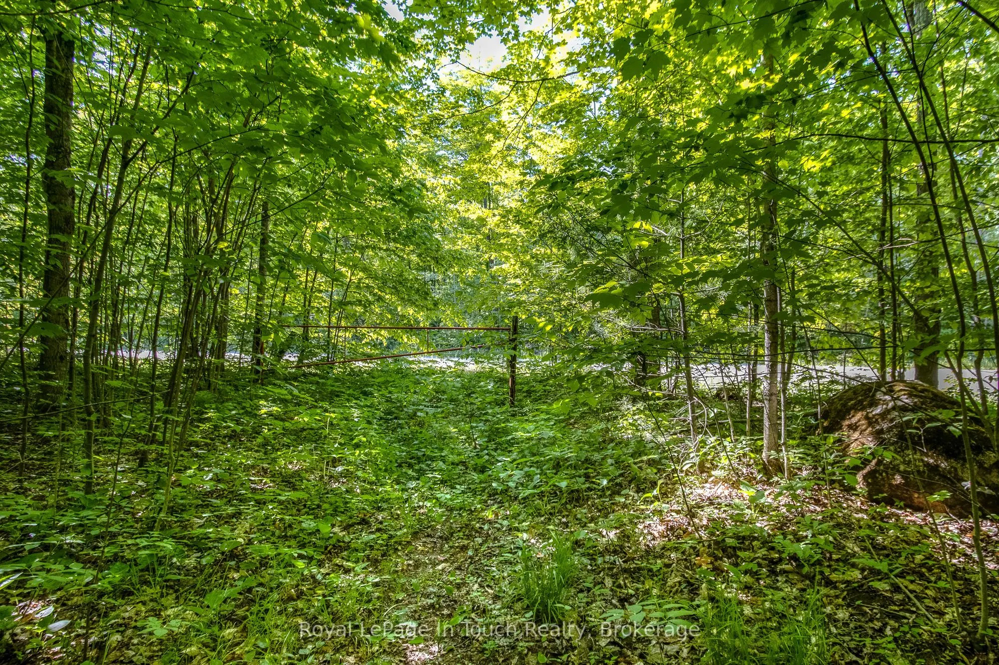 Lot 23 Concession 17 Road W