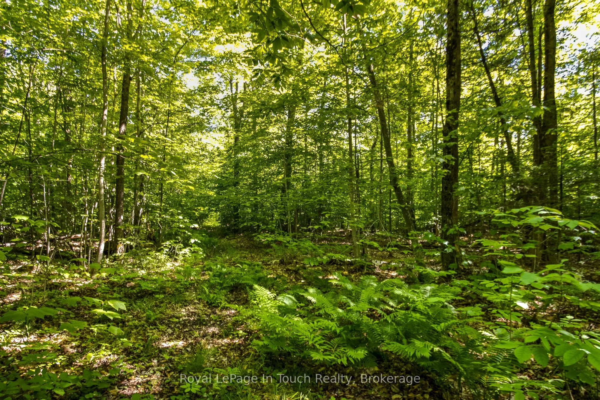 Lot 23 Concession 17 Road W