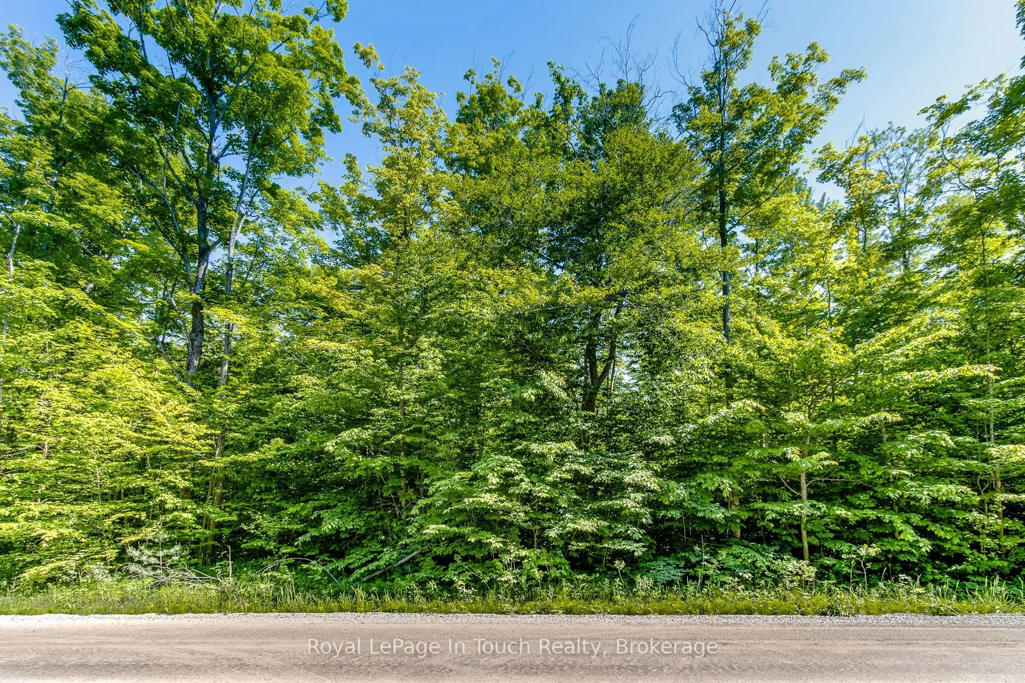 Lot 23 Concession 17 Road W
