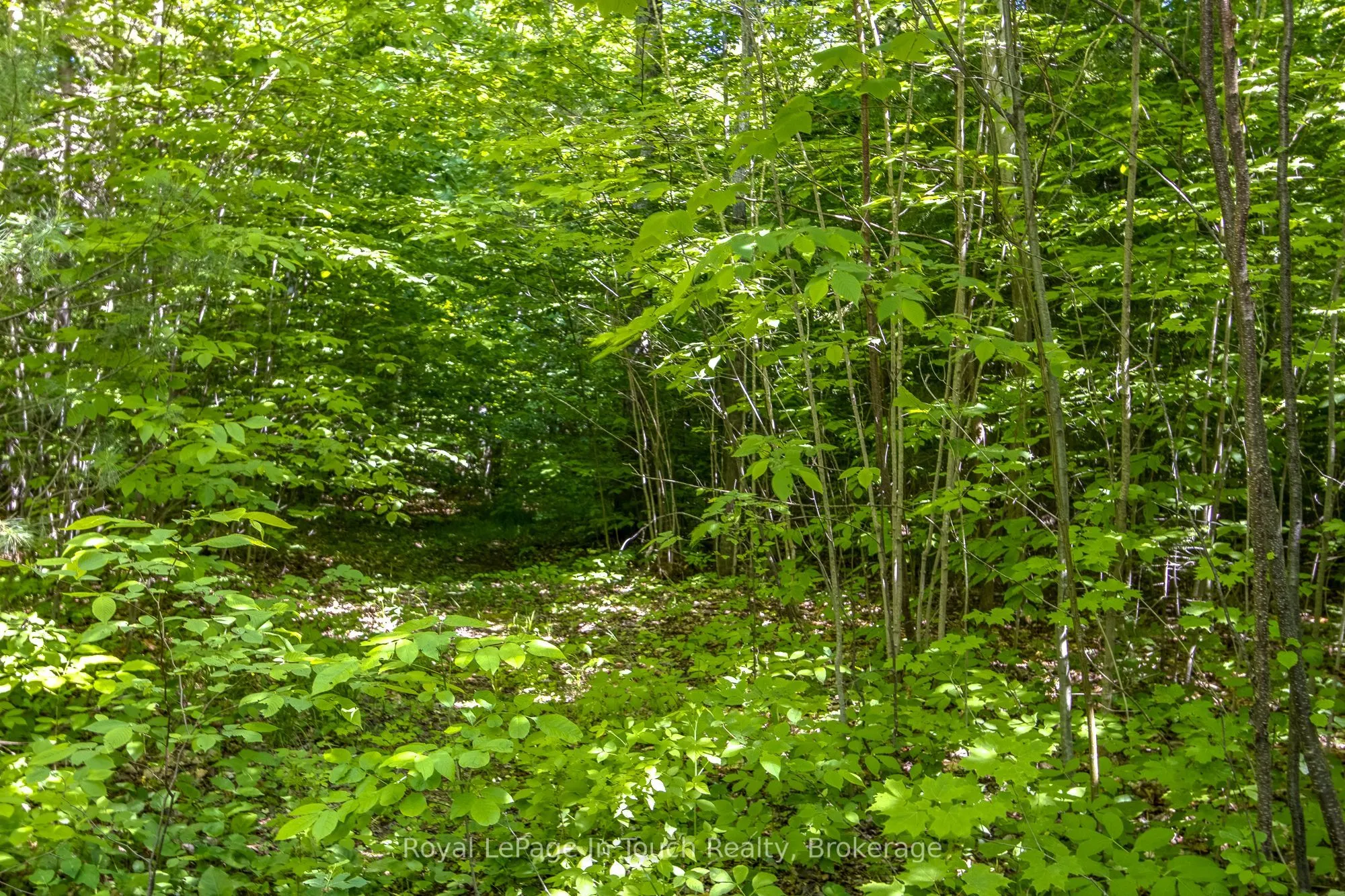 Lot 23 Concession 17 Road W