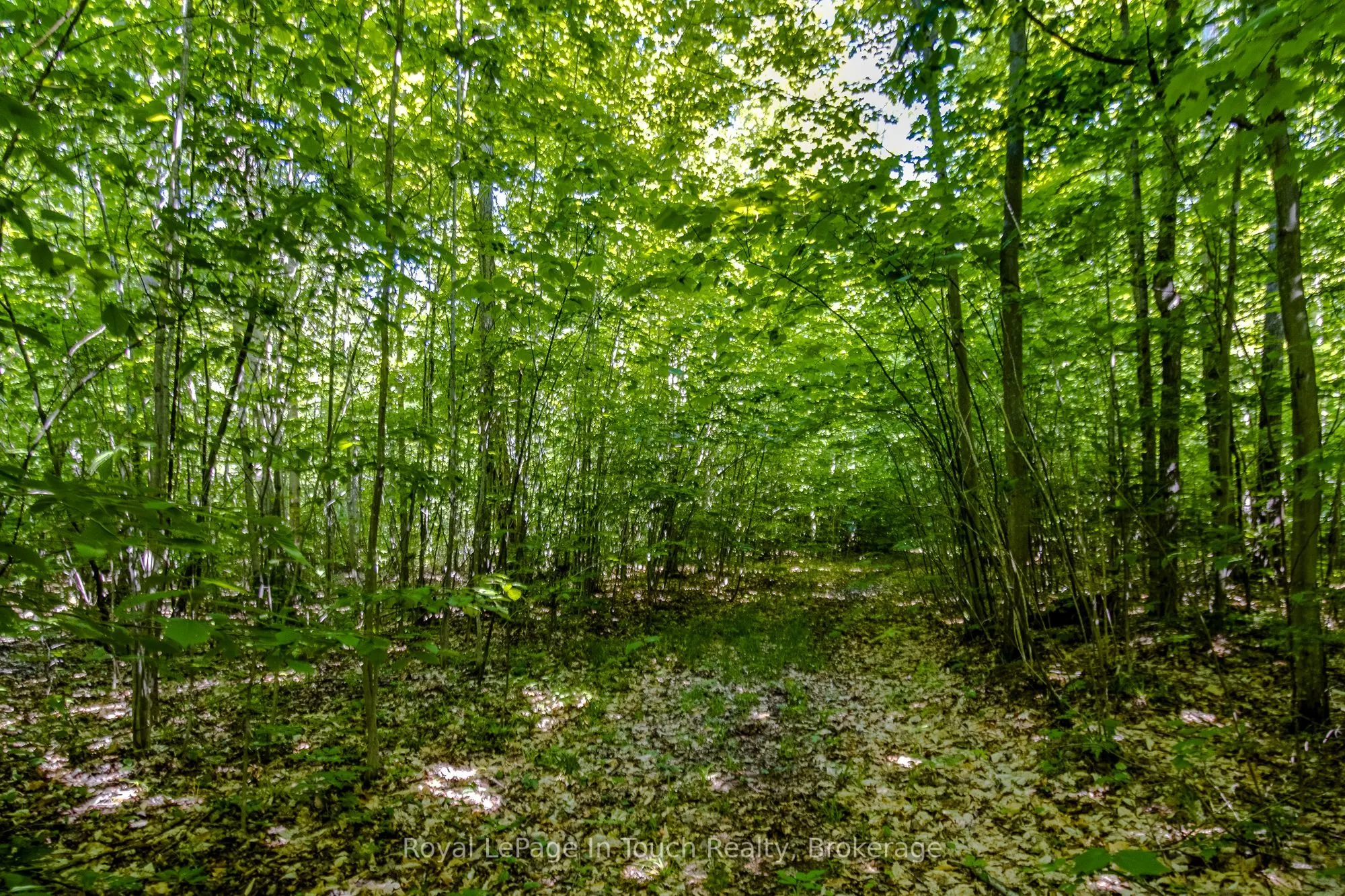 Lot 23 Concession 17 Road W