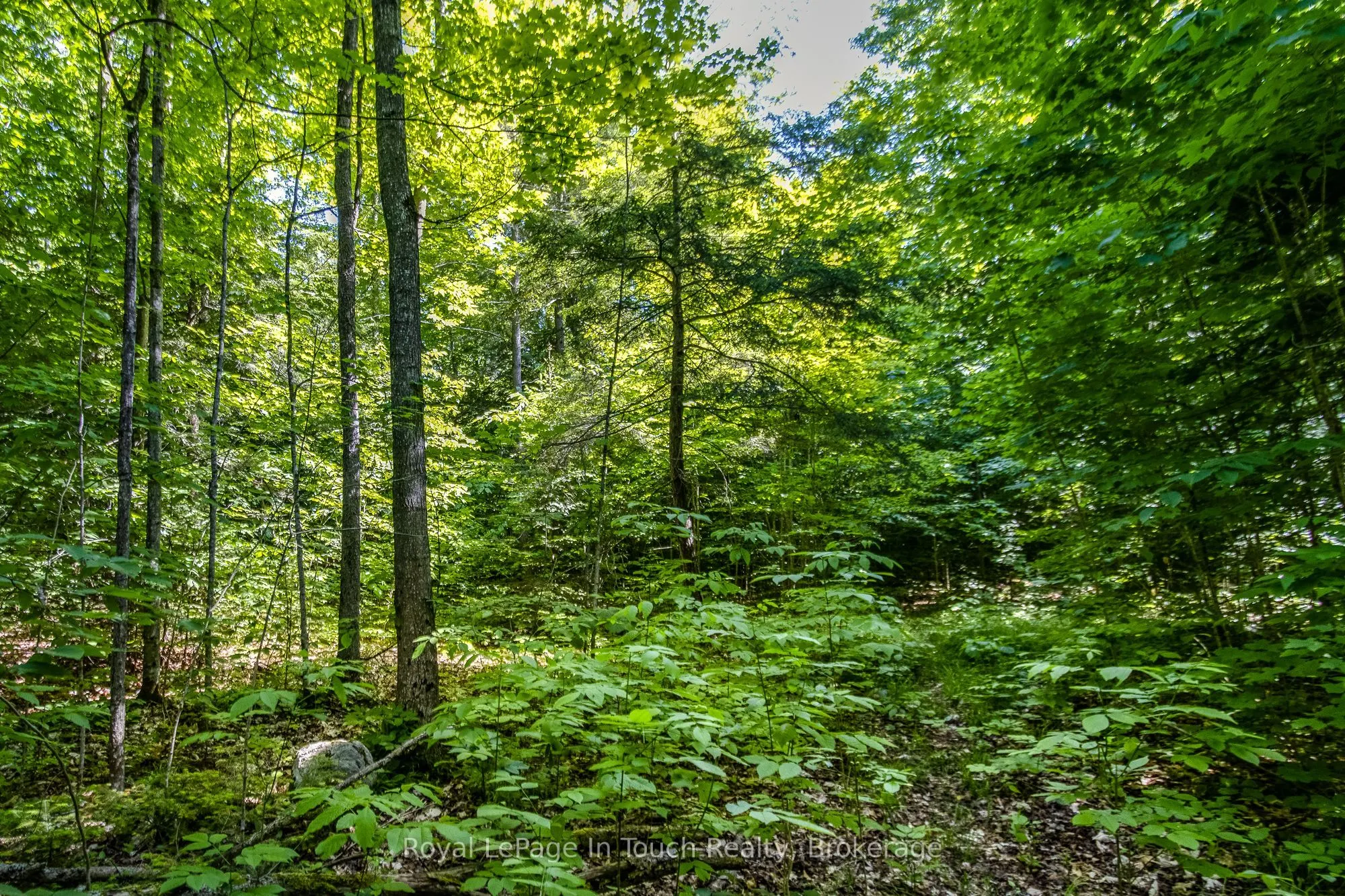 Lot 23 Concession 17 Road W