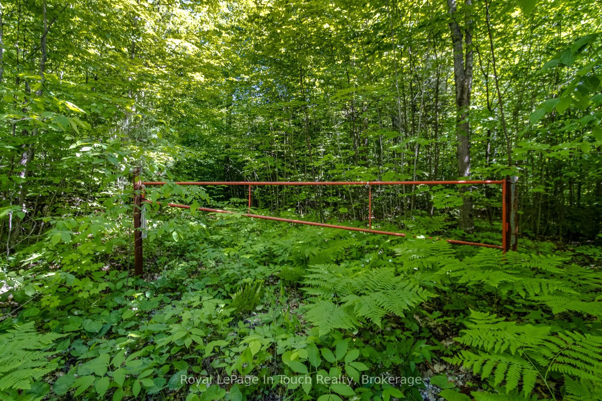 Lot 23 Concession 17 Road W