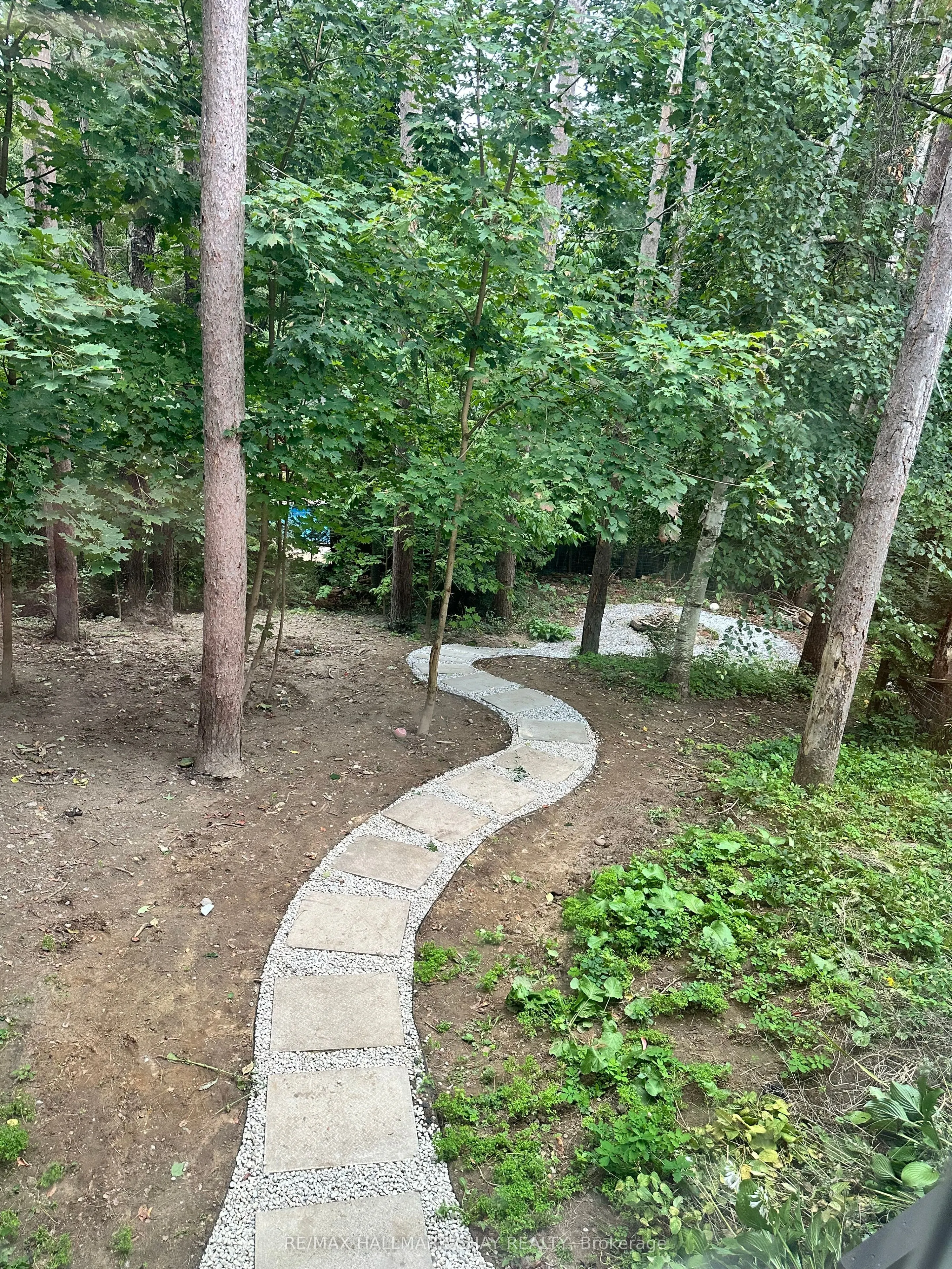 1 Pine Spring