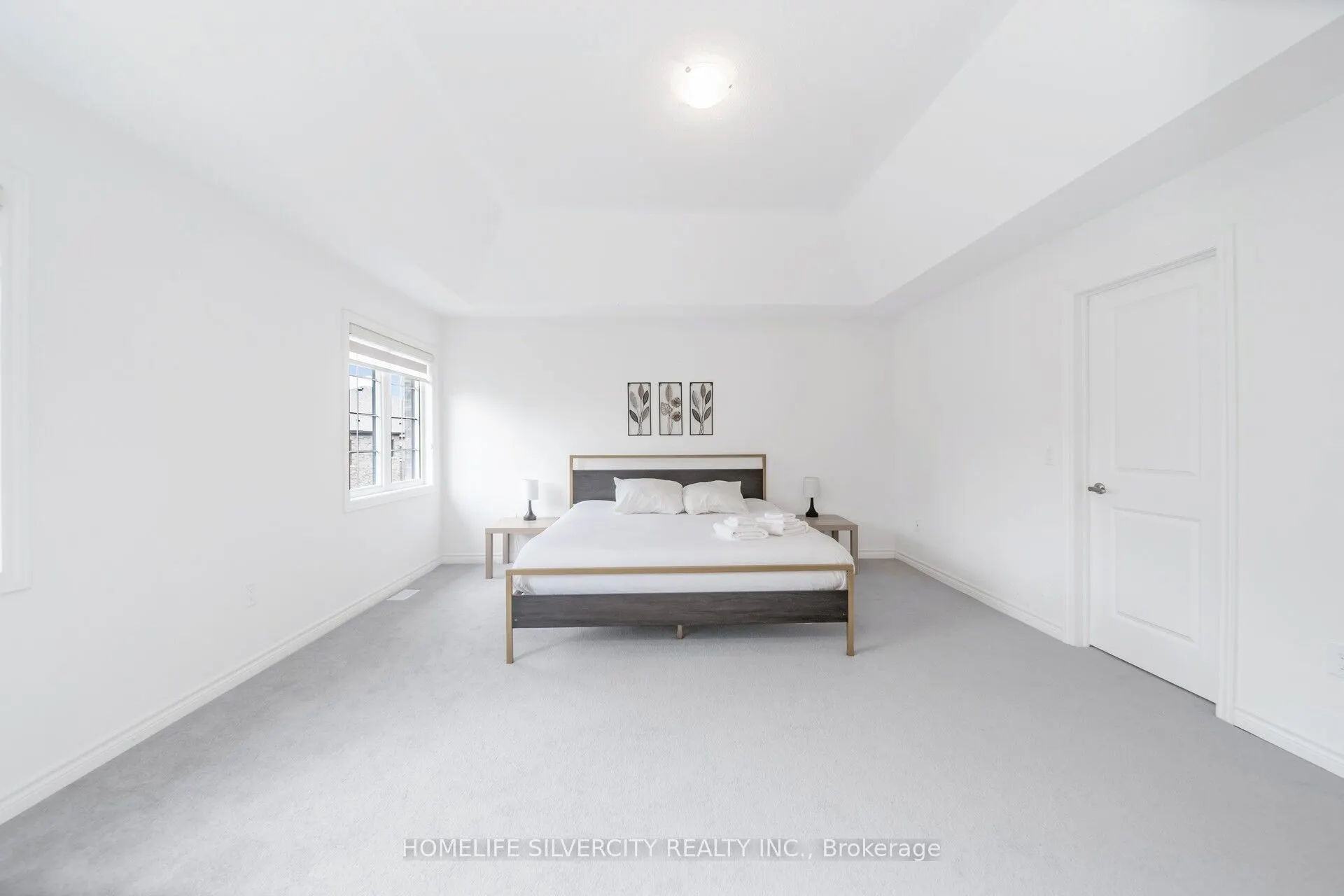 26 Sassafrass Road