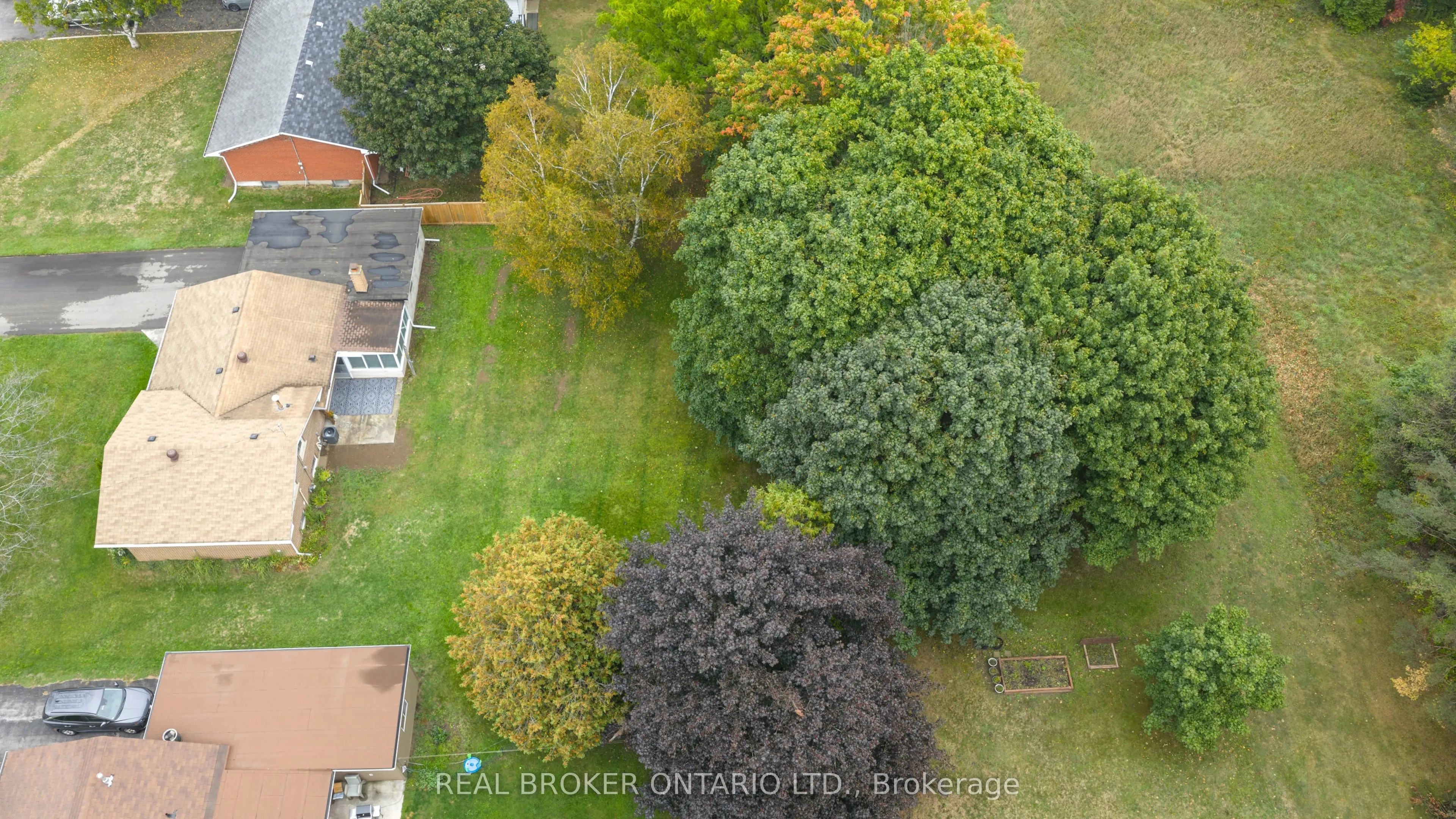 17 Locke Avenue