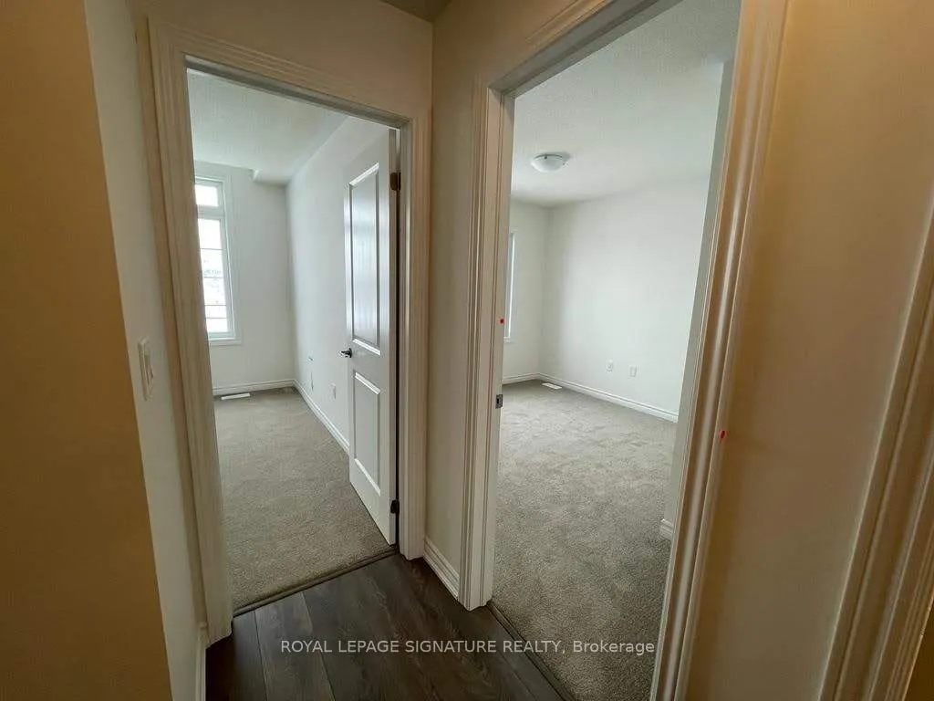 41 Greer Street