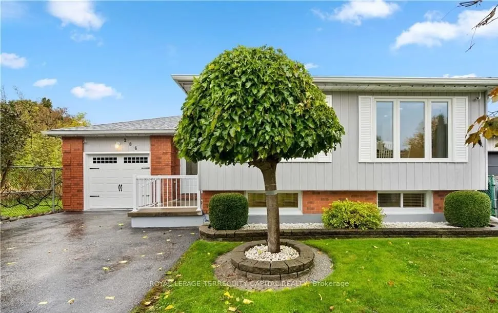 286 St Vincent Street, #Lower