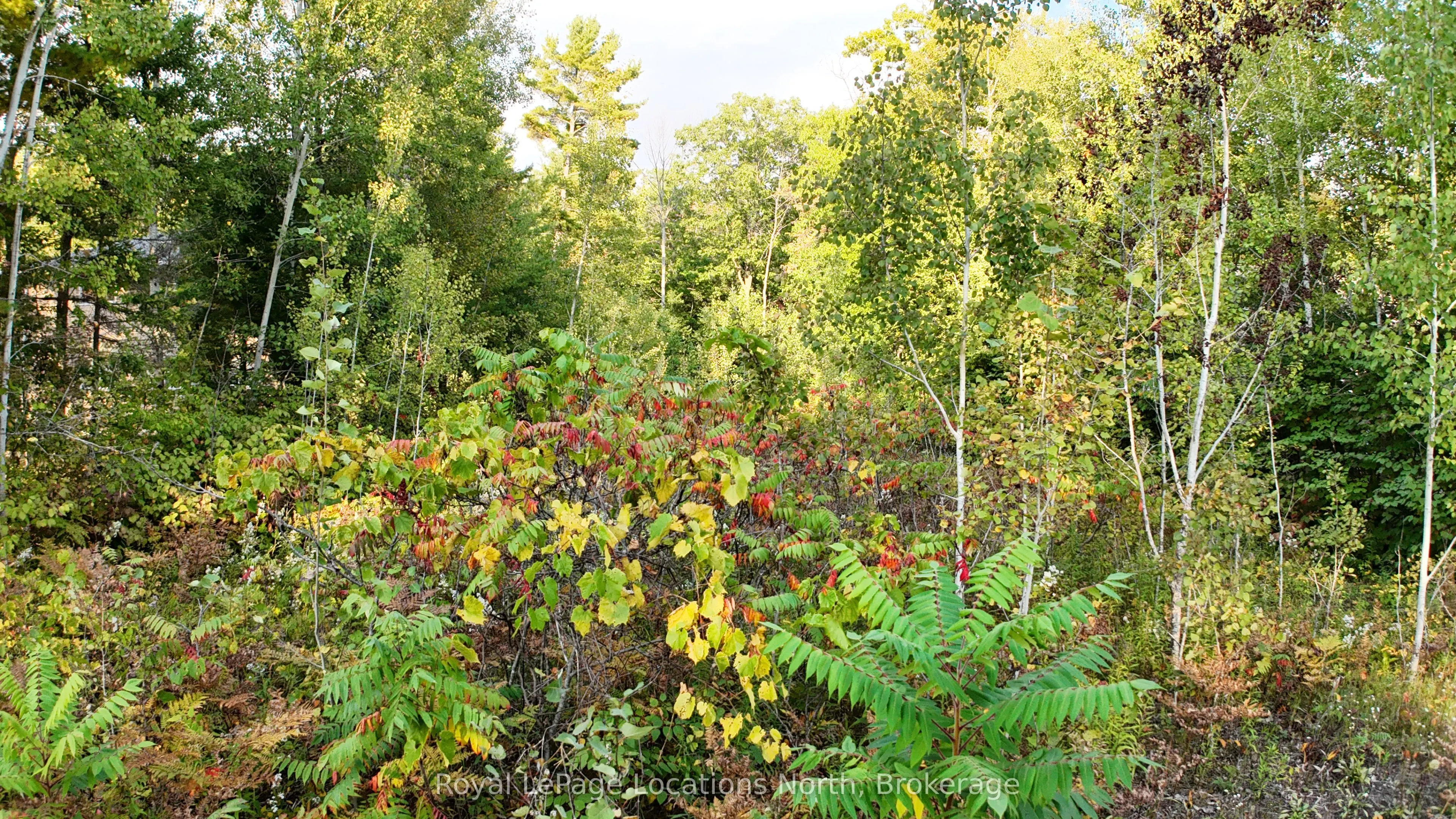 LOT 17 Ronald Avenue