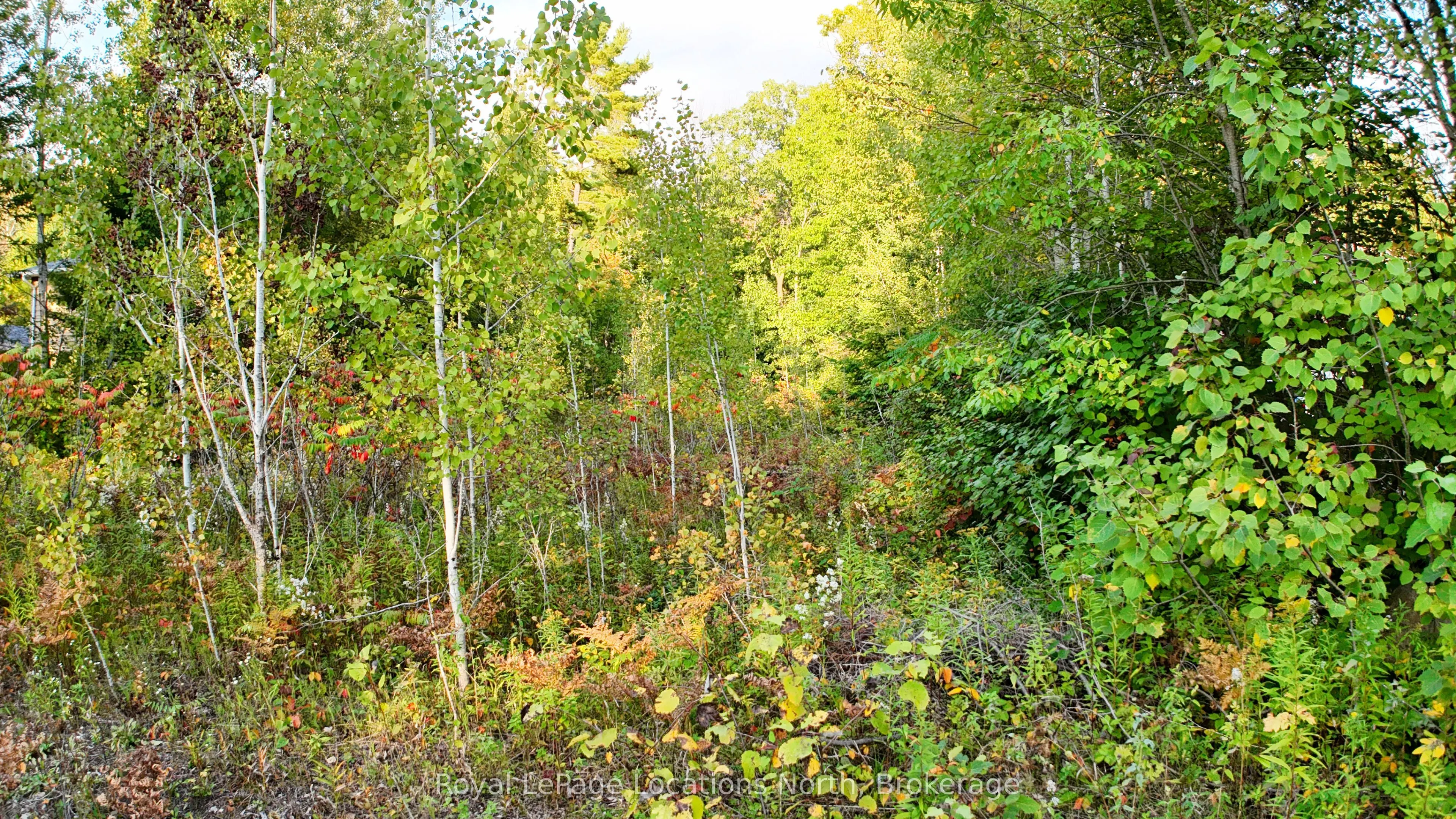 LOT 17 Ronald Avenue