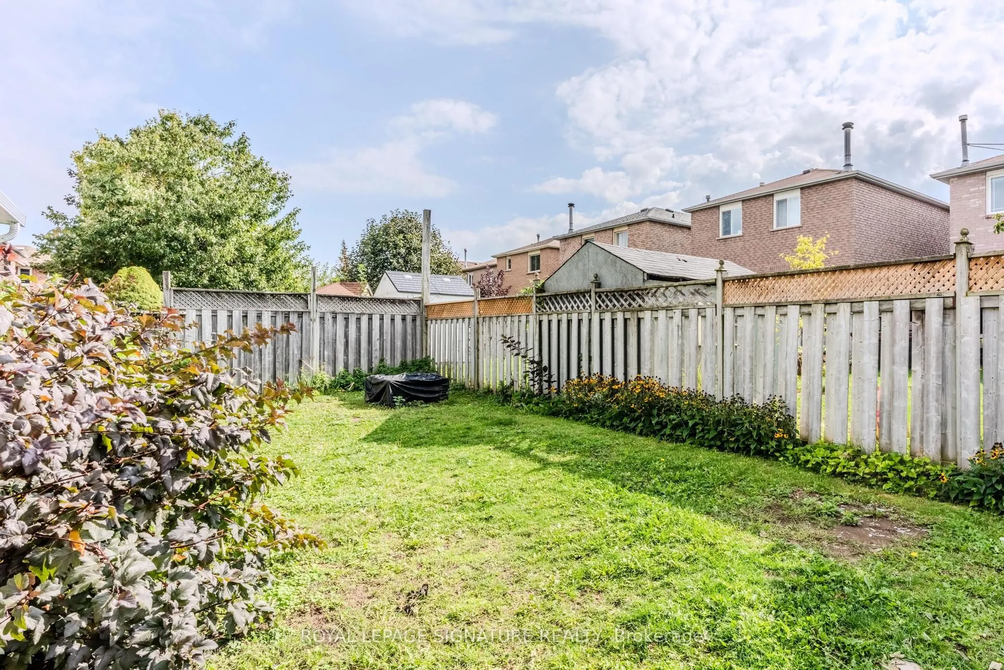 341 Livingstone Street