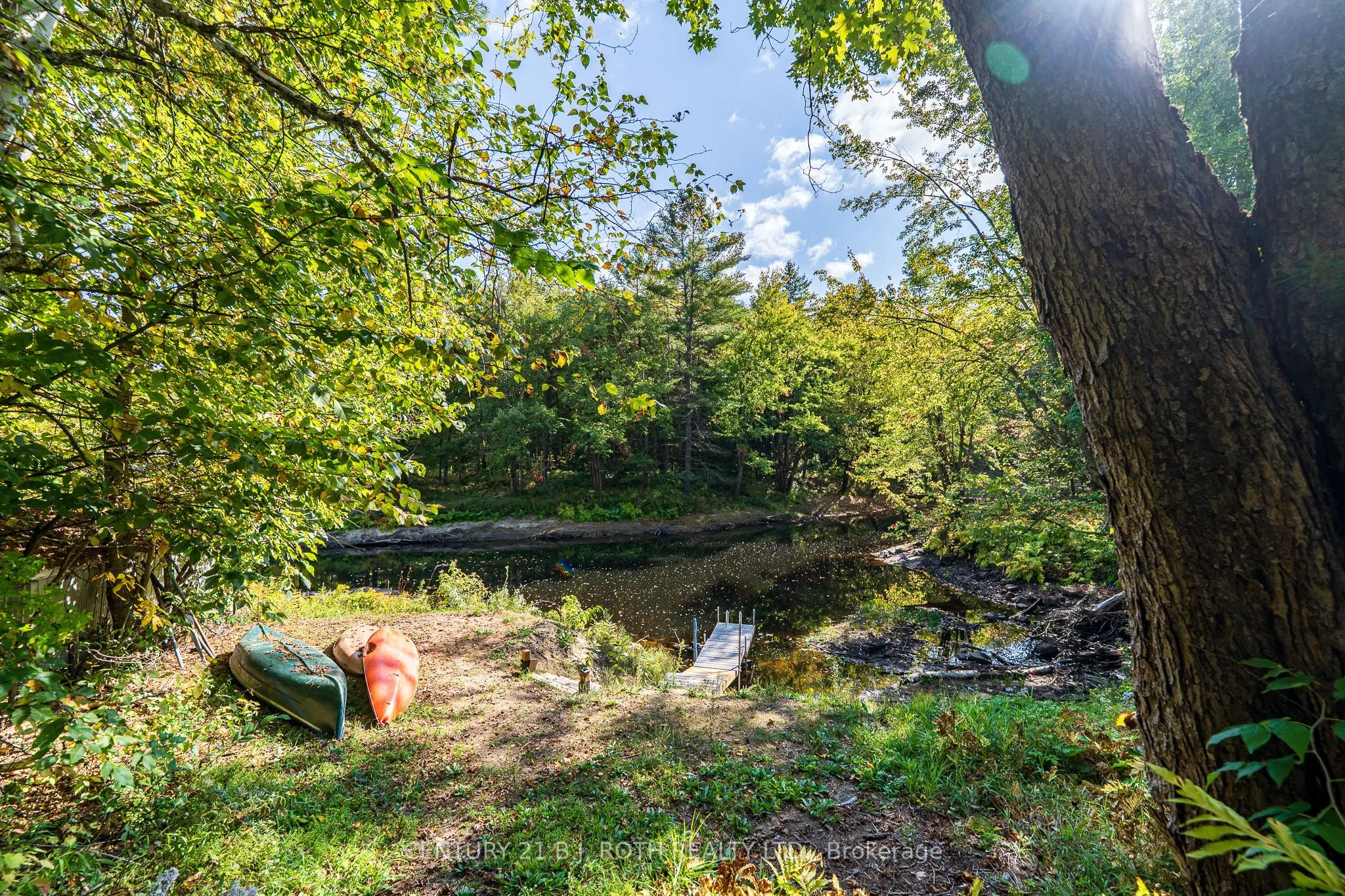 8101 Kings River Road