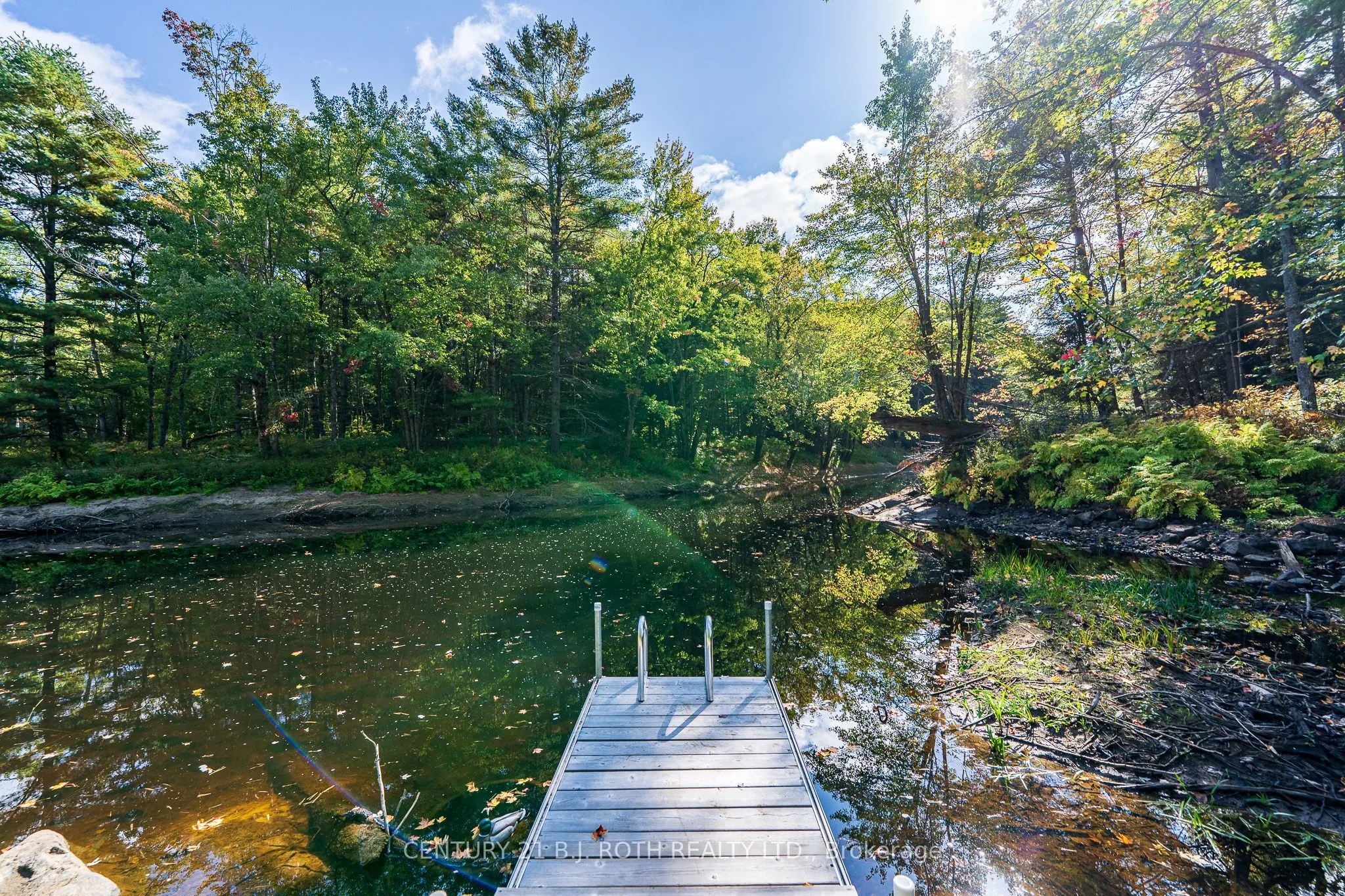 8101 Kings River Road