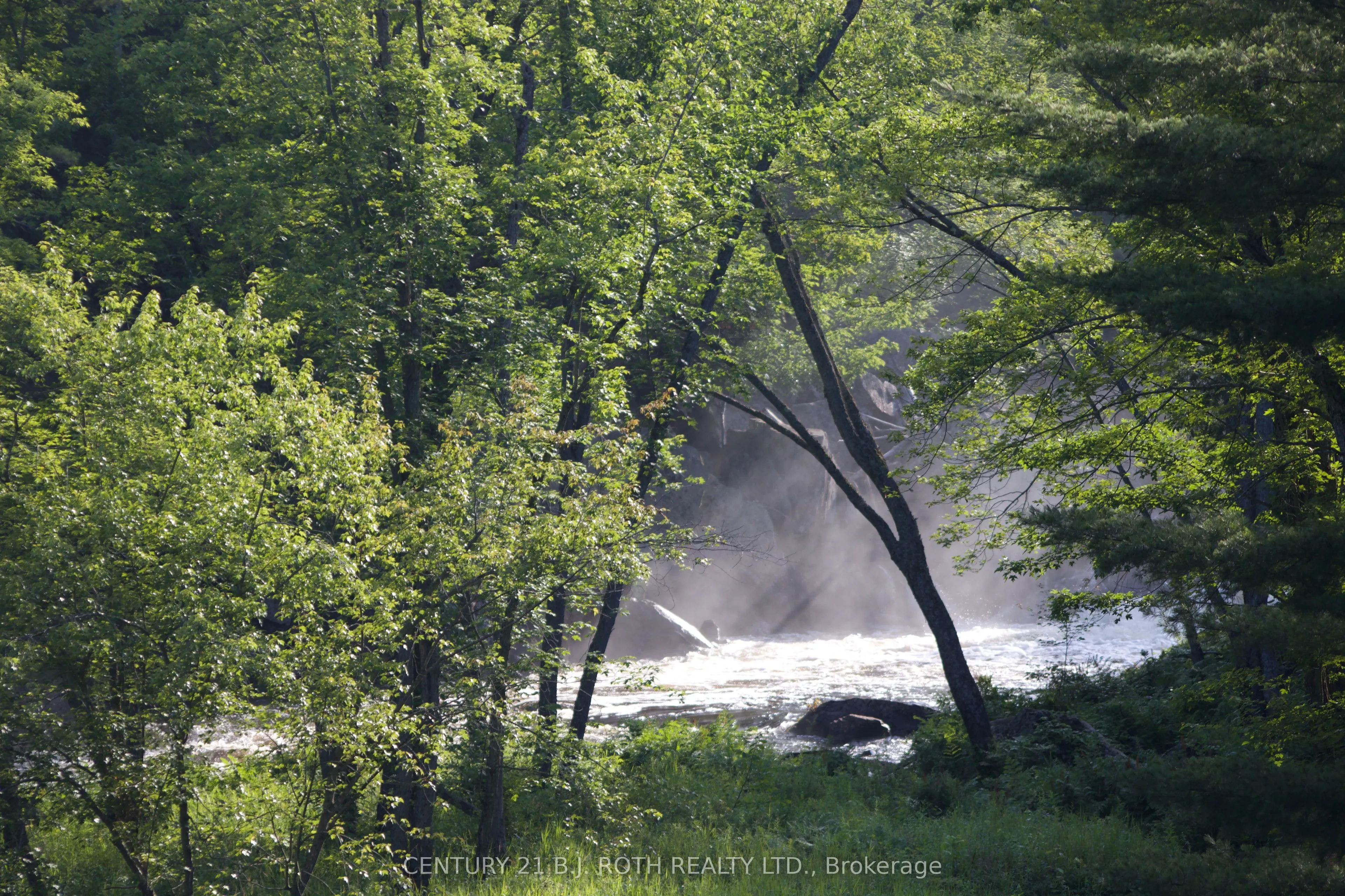 8101 Kings River Road