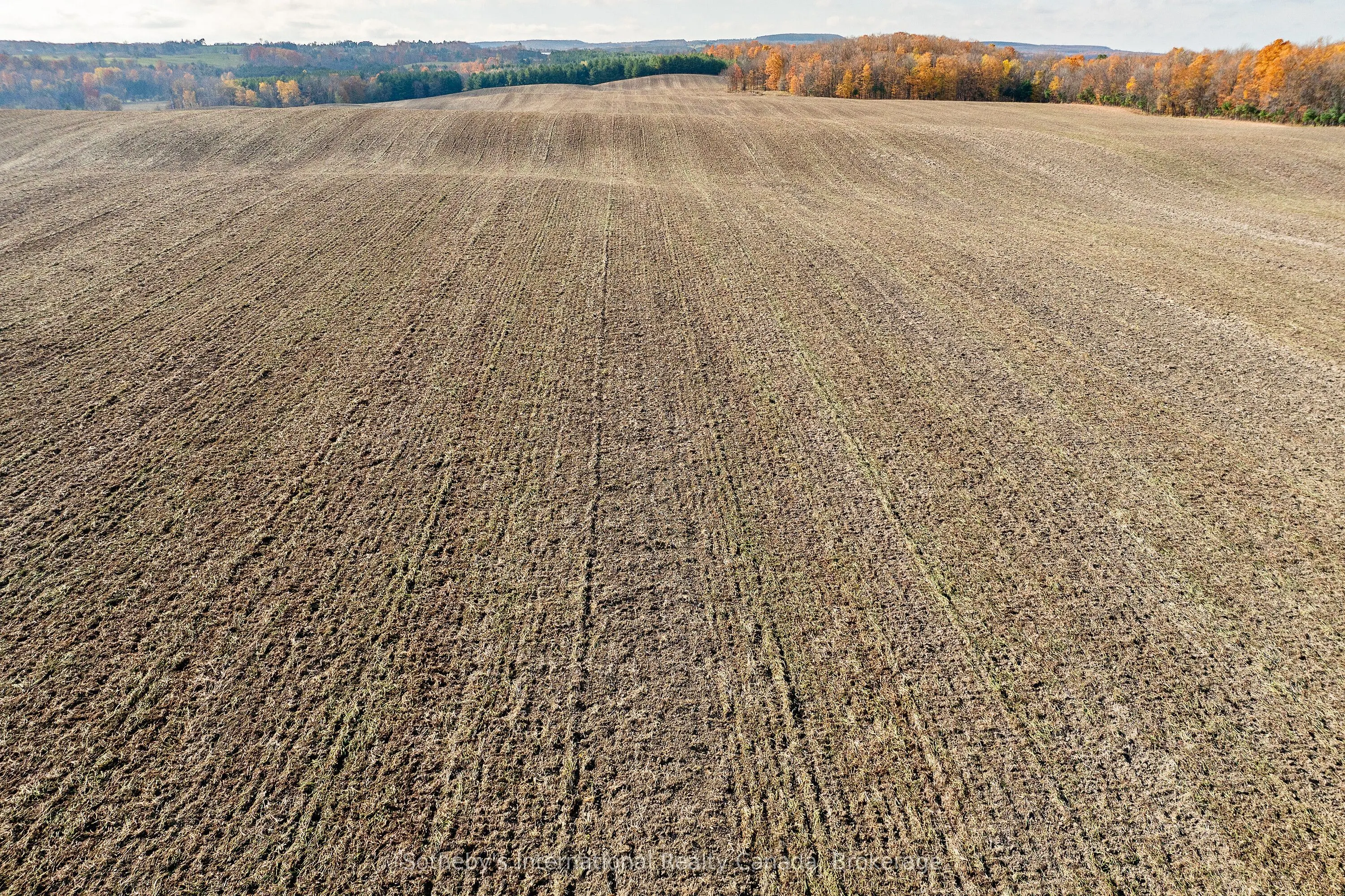 1148 CONCESSION 6 SOUTH NOTTAWASAGA