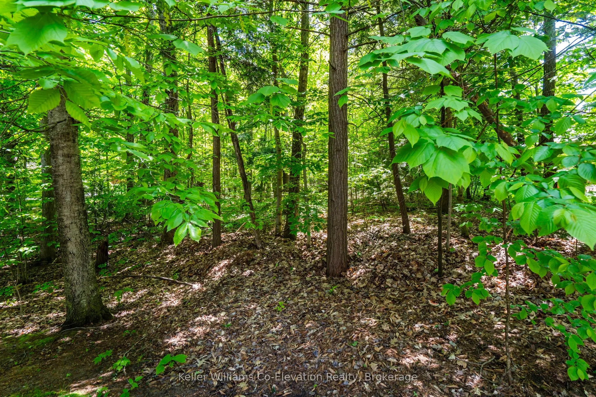 134 Tall Pines Drive