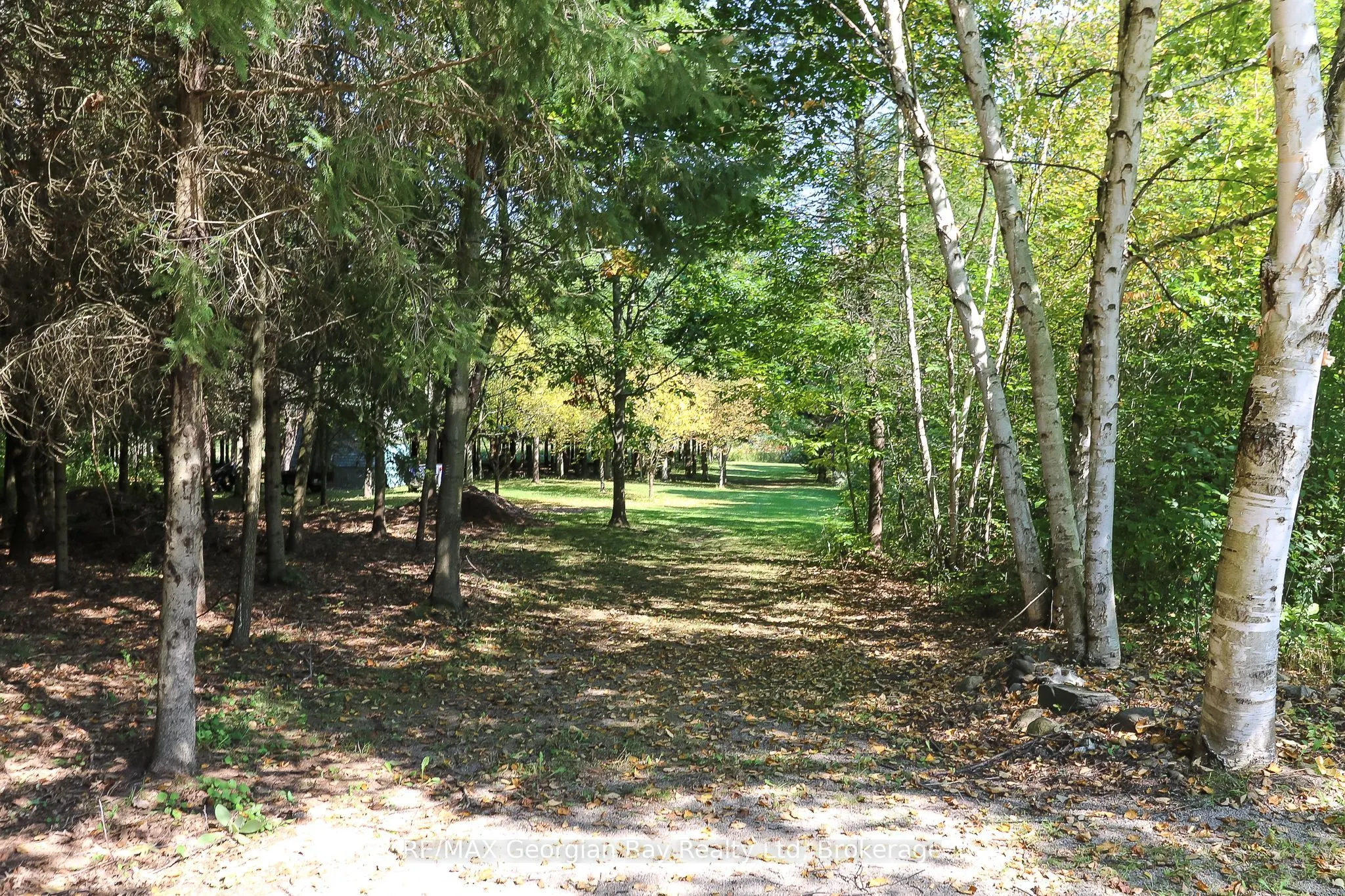 326 BLUEBERRY MARSH Road