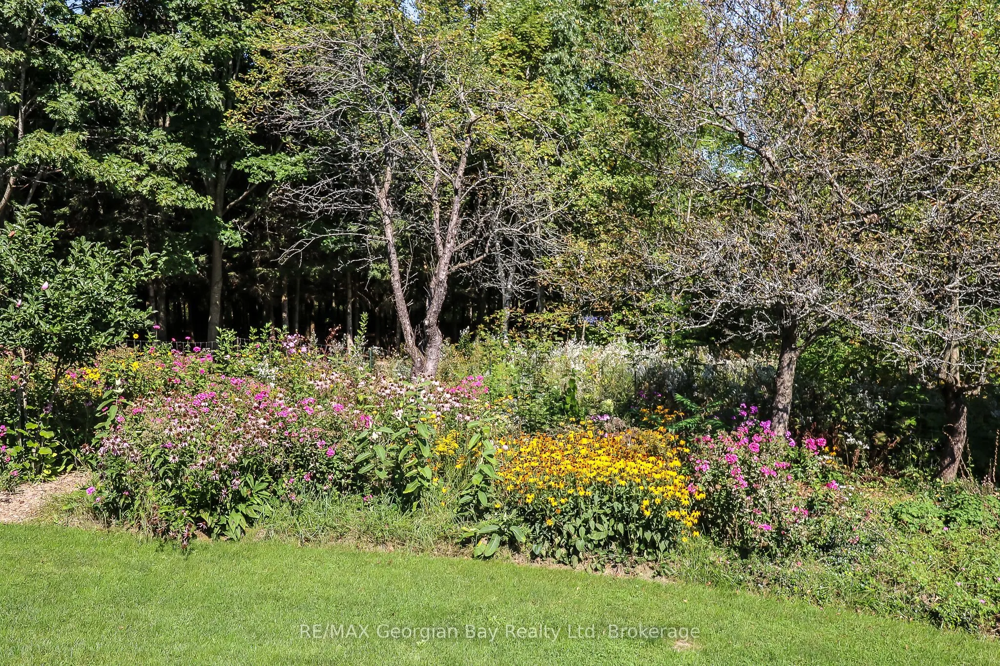 326 BLUEBERRY MARSH Road