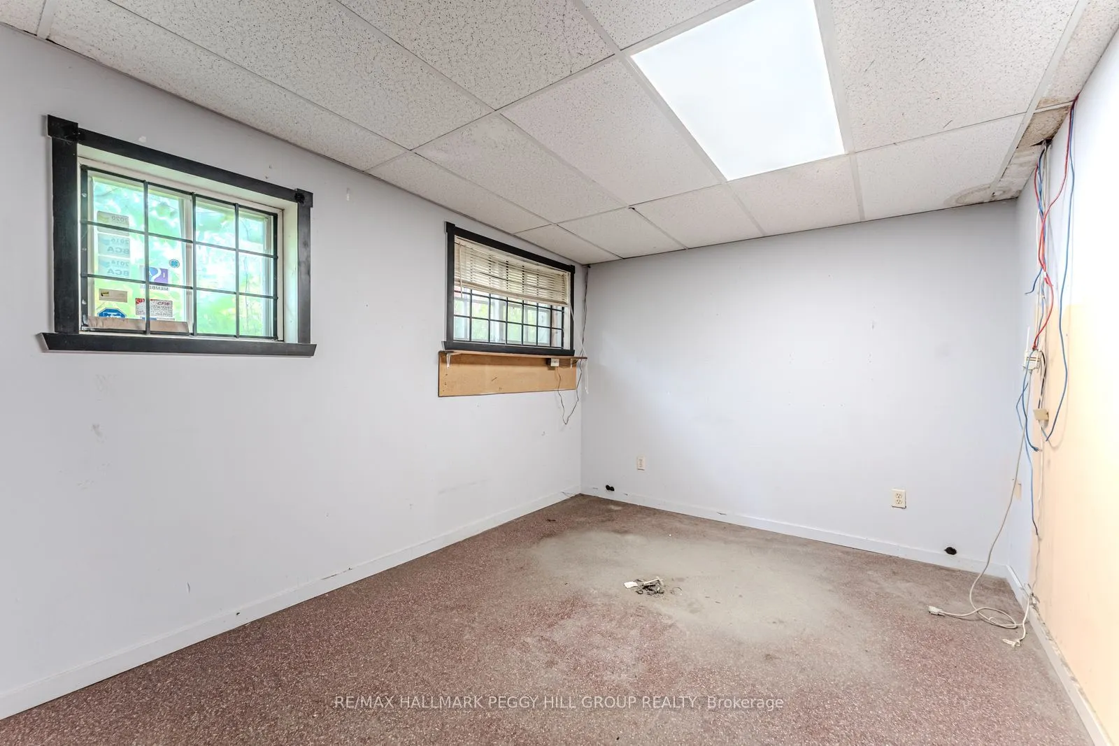 48 Ellen Street, #3