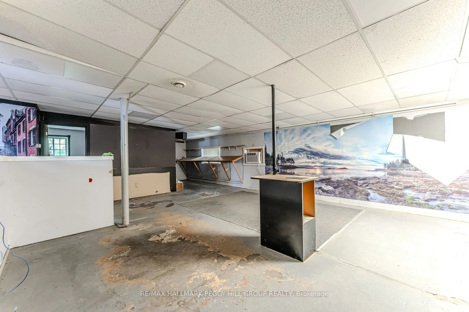 48 Ellen Street, #3