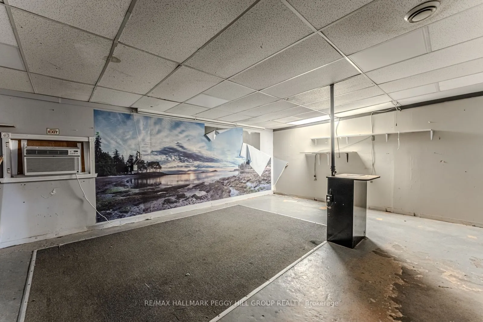 48 Ellen Street, #3