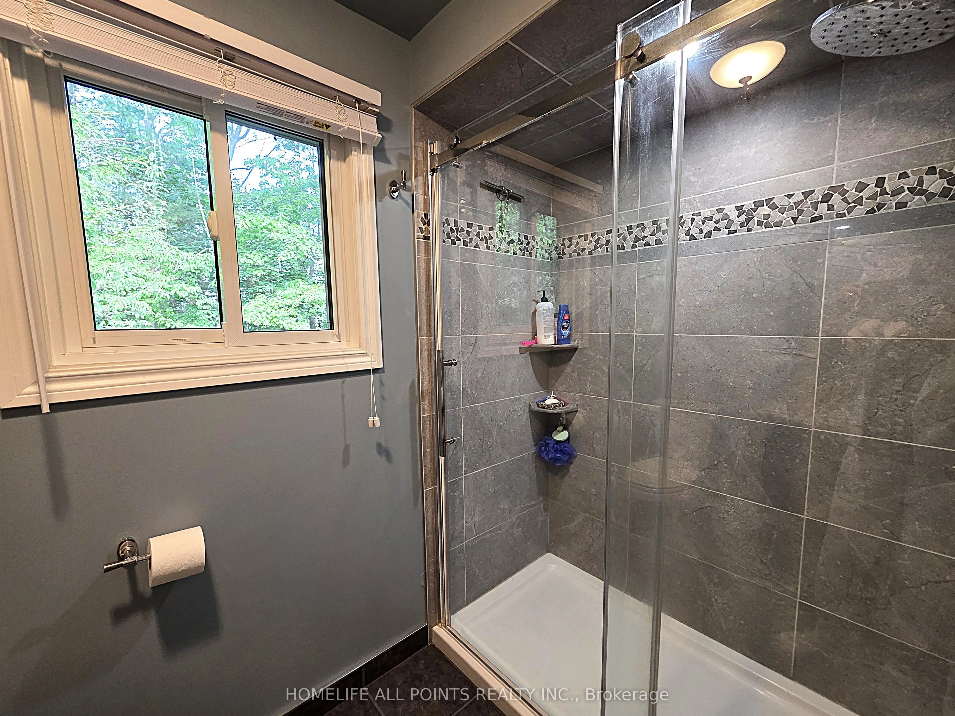 188 BROWNING Trail