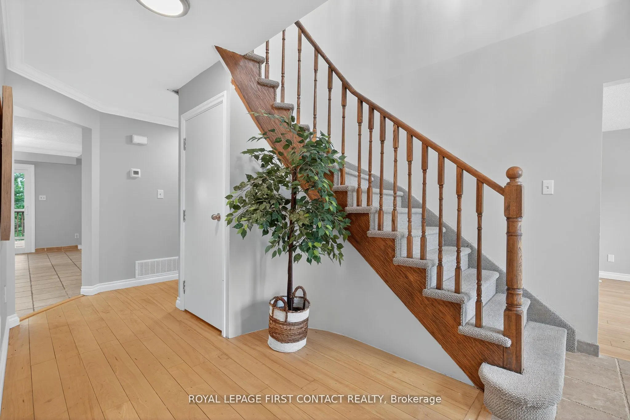 101 Browning Trail