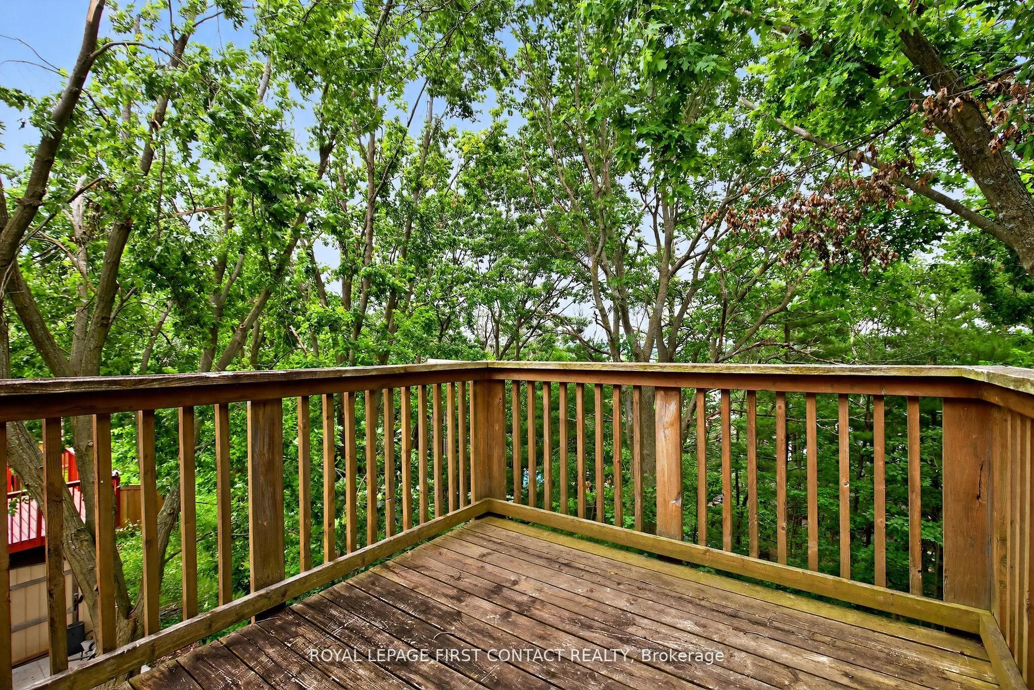 101 Browning Trail
