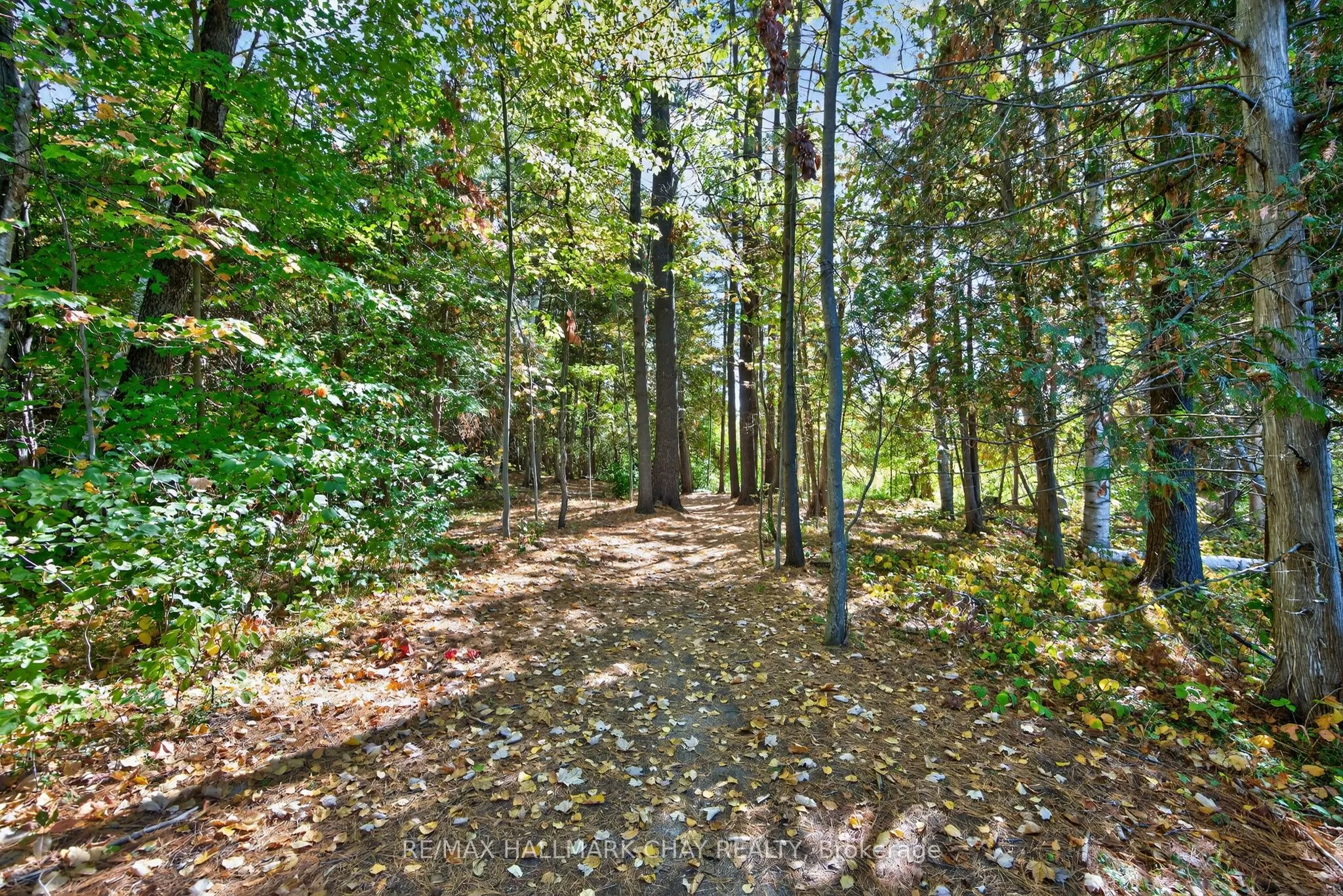 39 Ferndale Drive S, #405