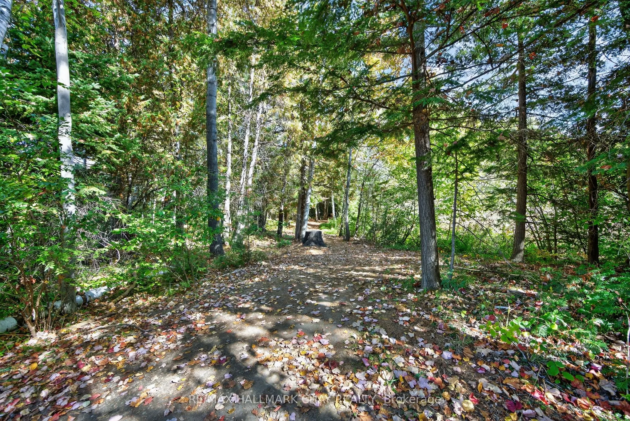 39 Ferndale Drive S, #405