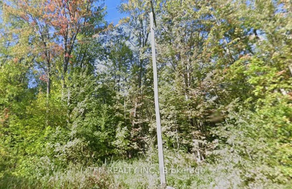 3676 sideroad 20 Road
