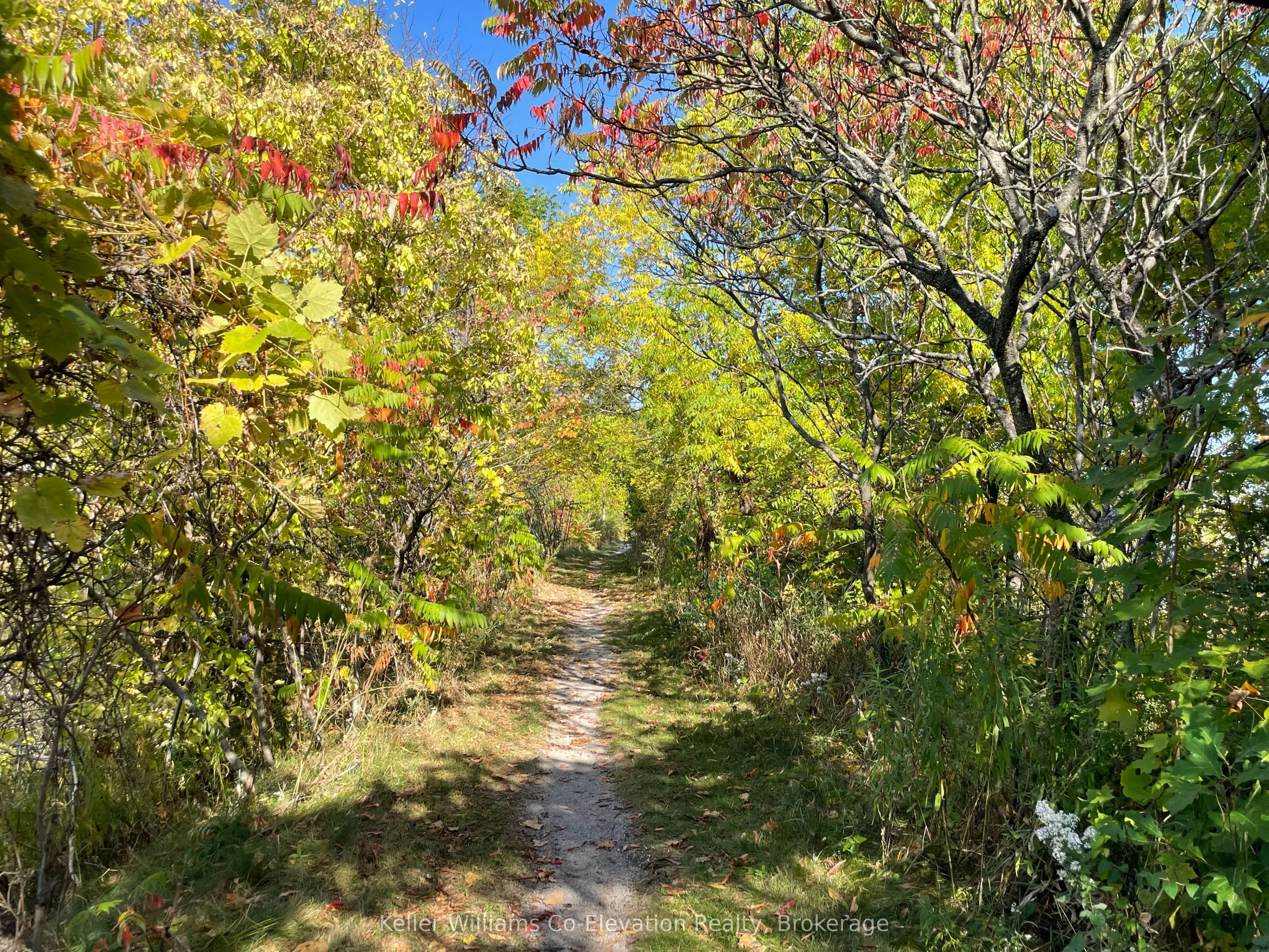 438 Shewfelt Crescent