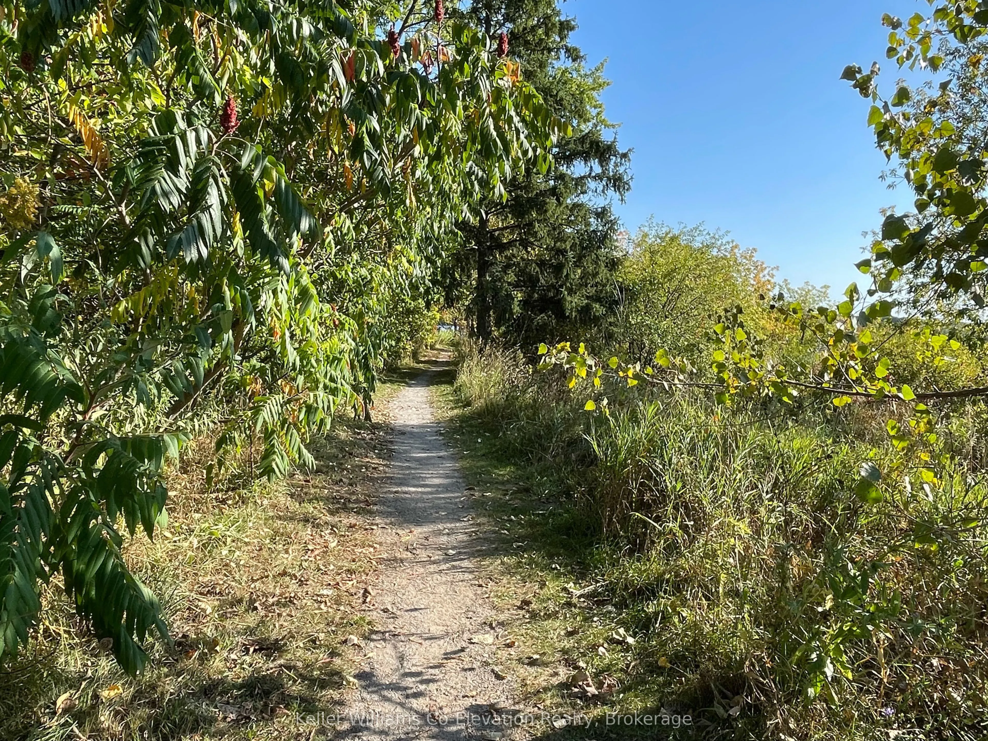 438 Shewfelt Crescent