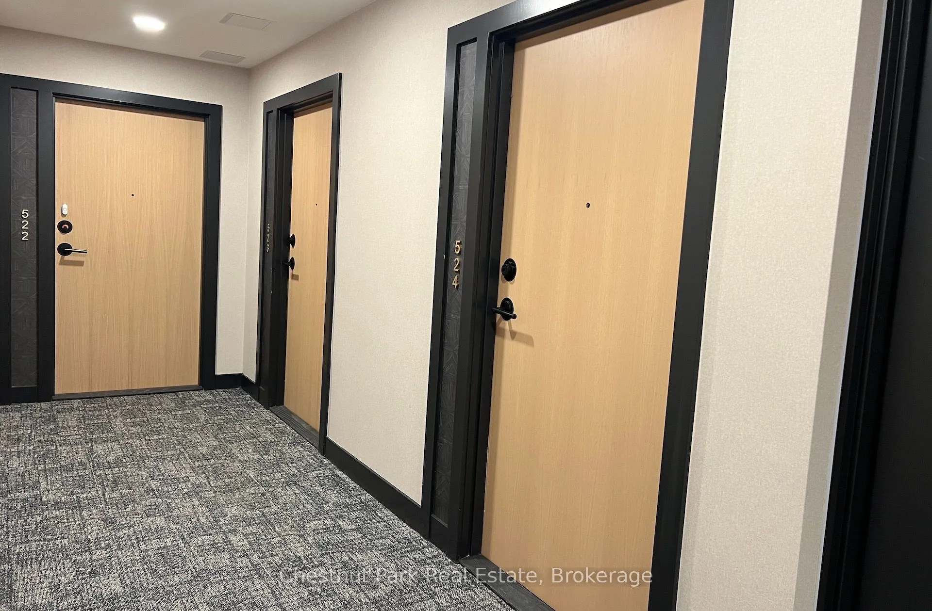 31 Huron Street, #524