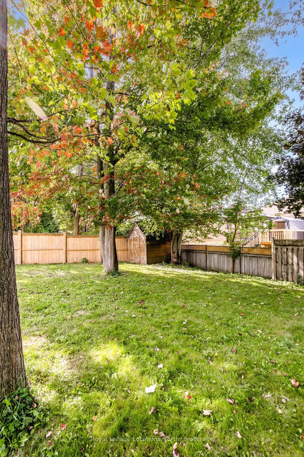 52 ROYAL BEECH Drive
