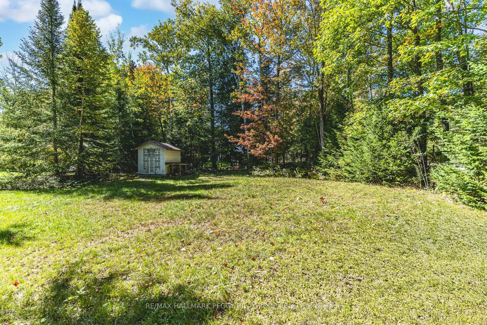 12 Doan Avenue